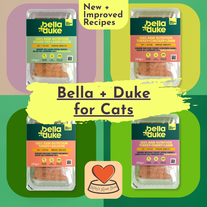 Bella & Duke Turkey & Salmon 250g