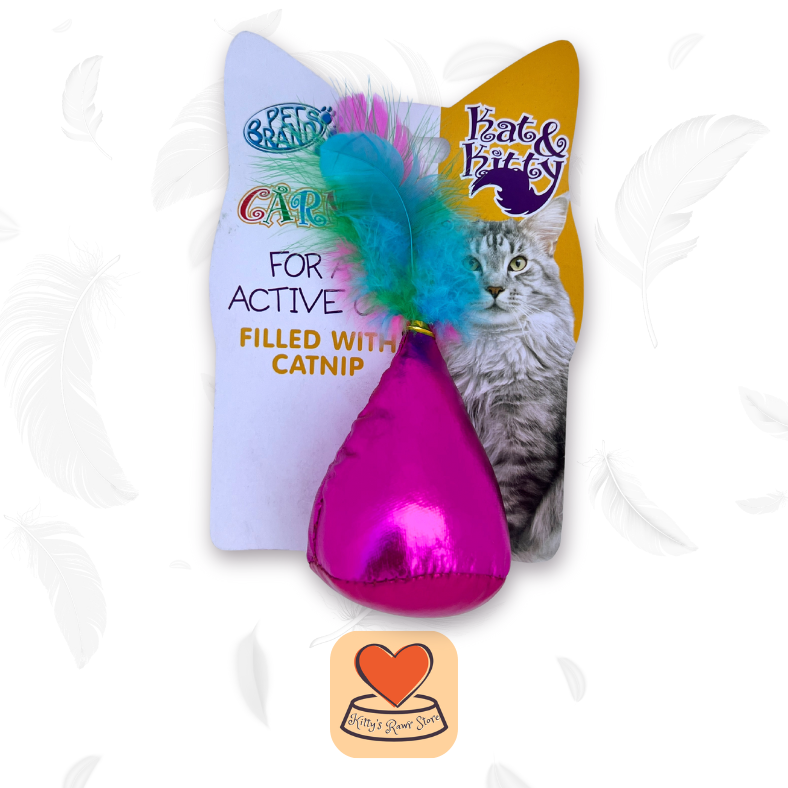 Carnival Feather Toy Duo