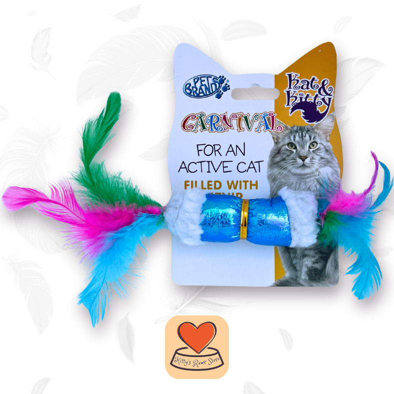 Carnival Feather Toy Duo