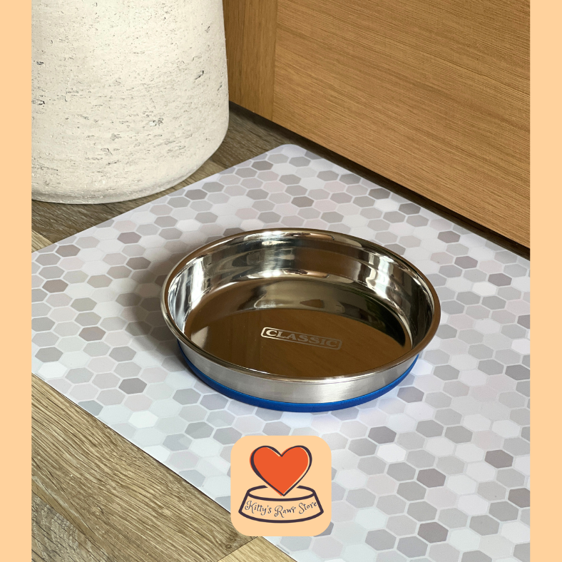 Classic Non Slip Stainless Steel Cat Bowl