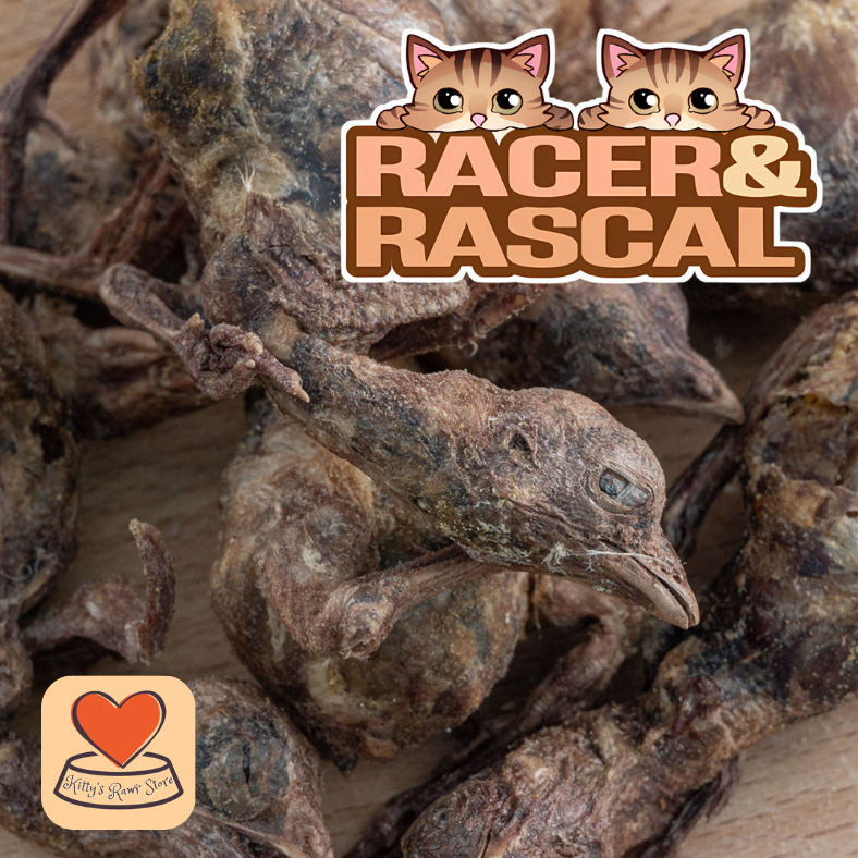 Racer & Rascal Freeze-Dried Whole Chicken Chick 40g