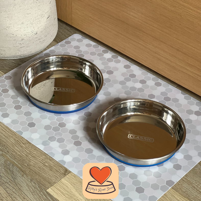 Classic Non Slip Stainless Steel Cat Bowl