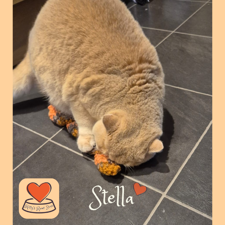 Racer & Rascal Freeze-Dried Beef Liver 80g