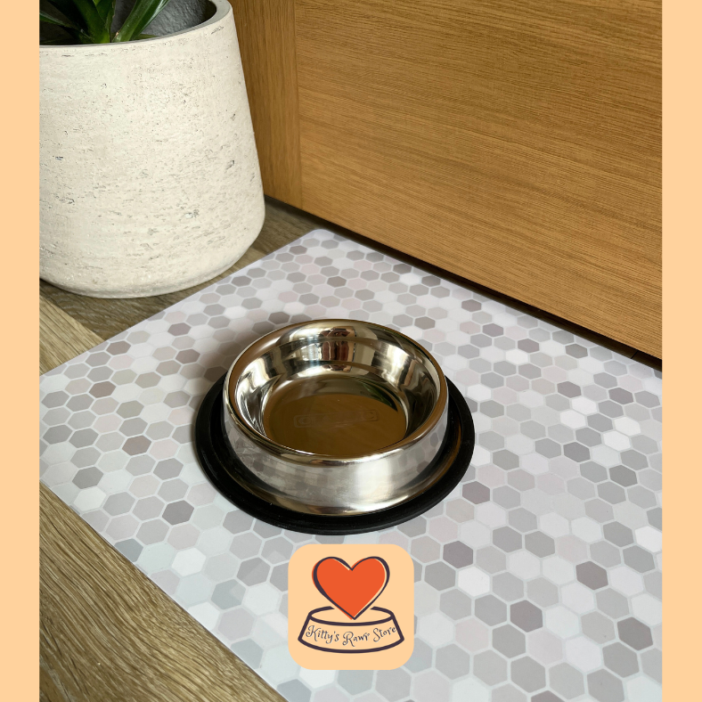 Classic Non Tip Stainless Steel Cat Bowl