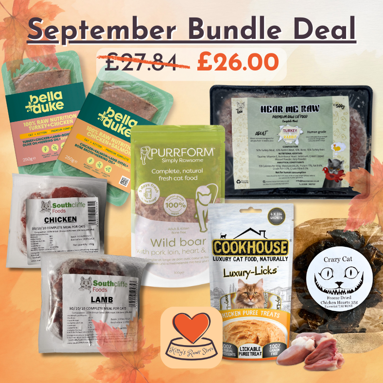 September Bundle Deal