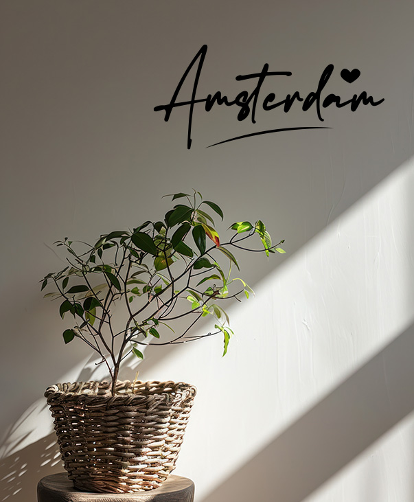 Vinilo decorativo Amsterdam