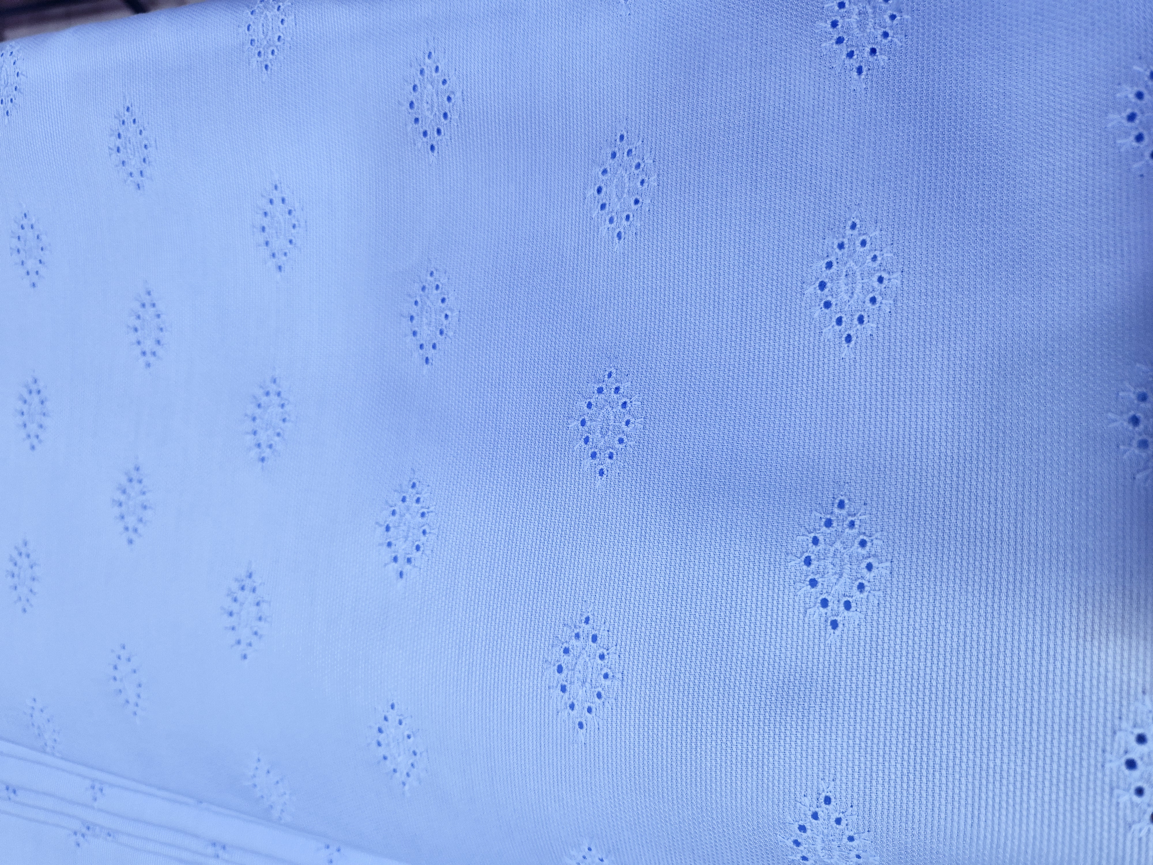 PIQUE LACE (5 Yards)