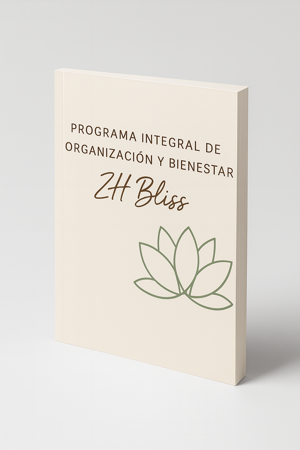 Sesión de Organización y Bienestar ZH Bliss