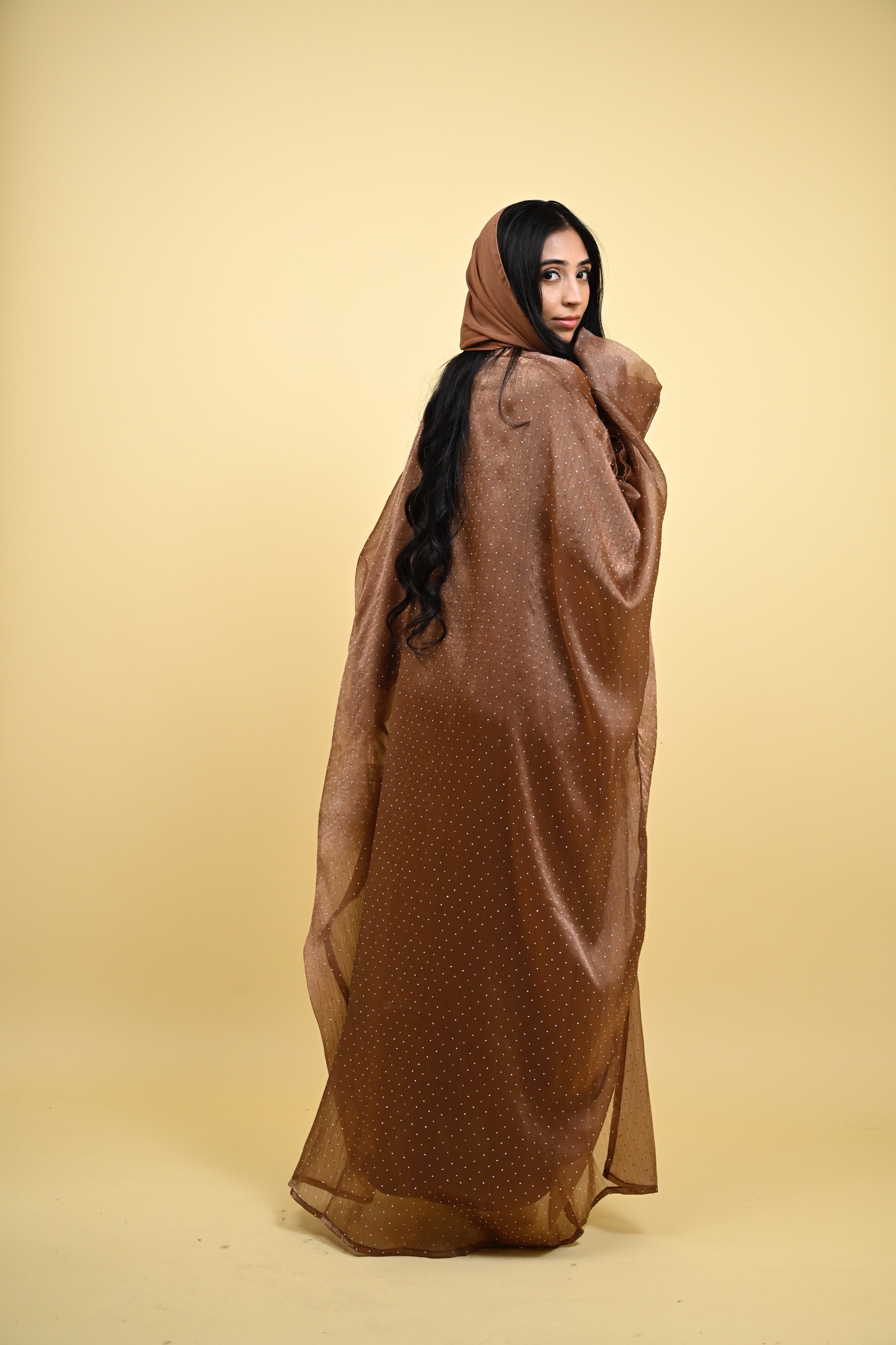 Ayat- stardust organza kaftan