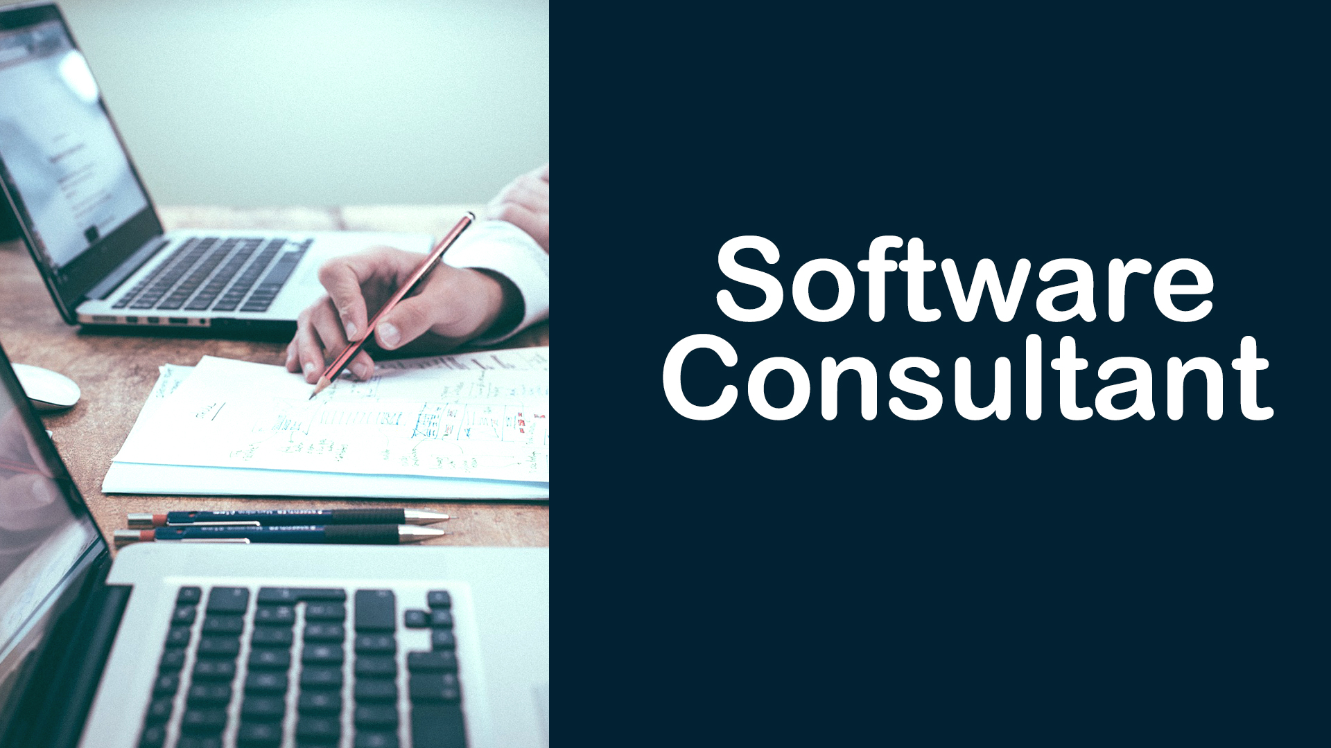 Software Consultant
