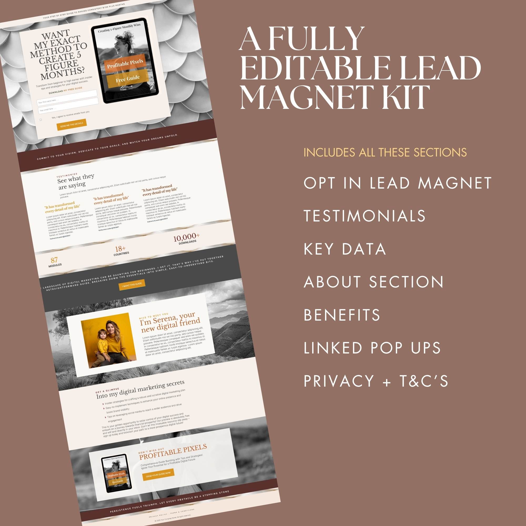 Lead Magnet . Systeme.io  Email Opt-in Kit