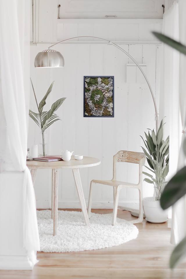 Tableaux de mousses et lychens