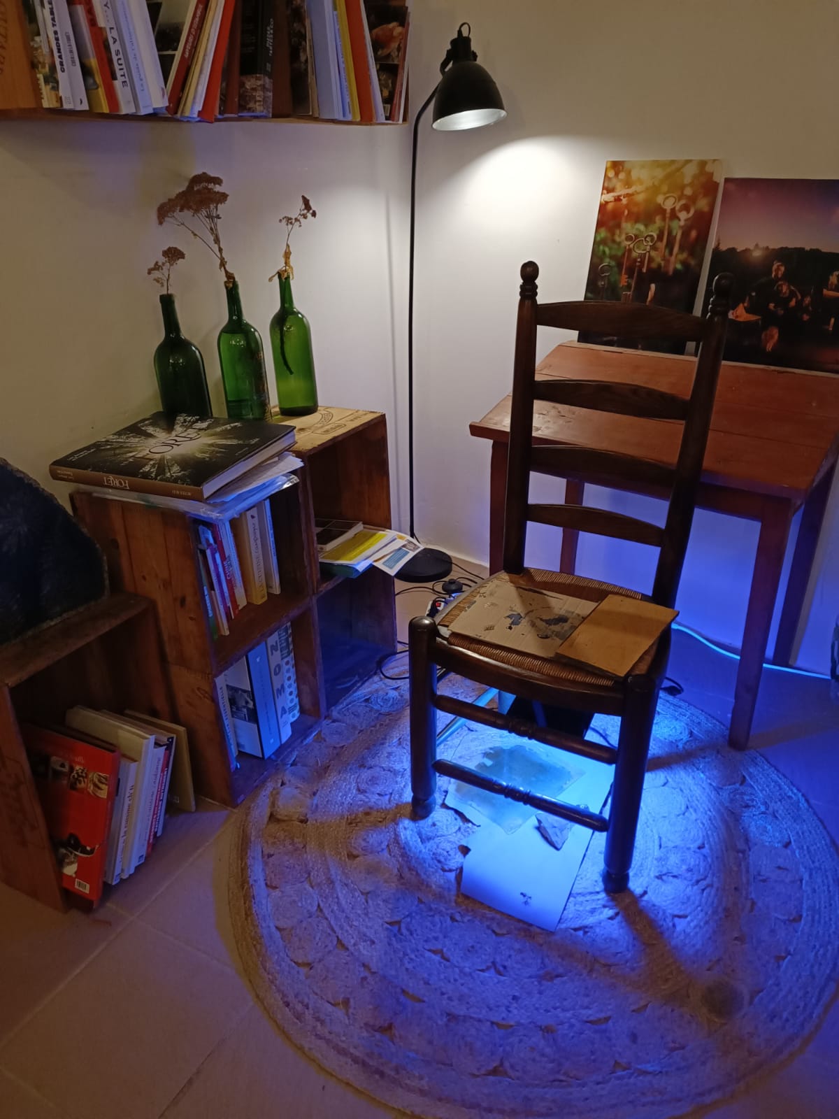 Atelier de création cyanotype 4h