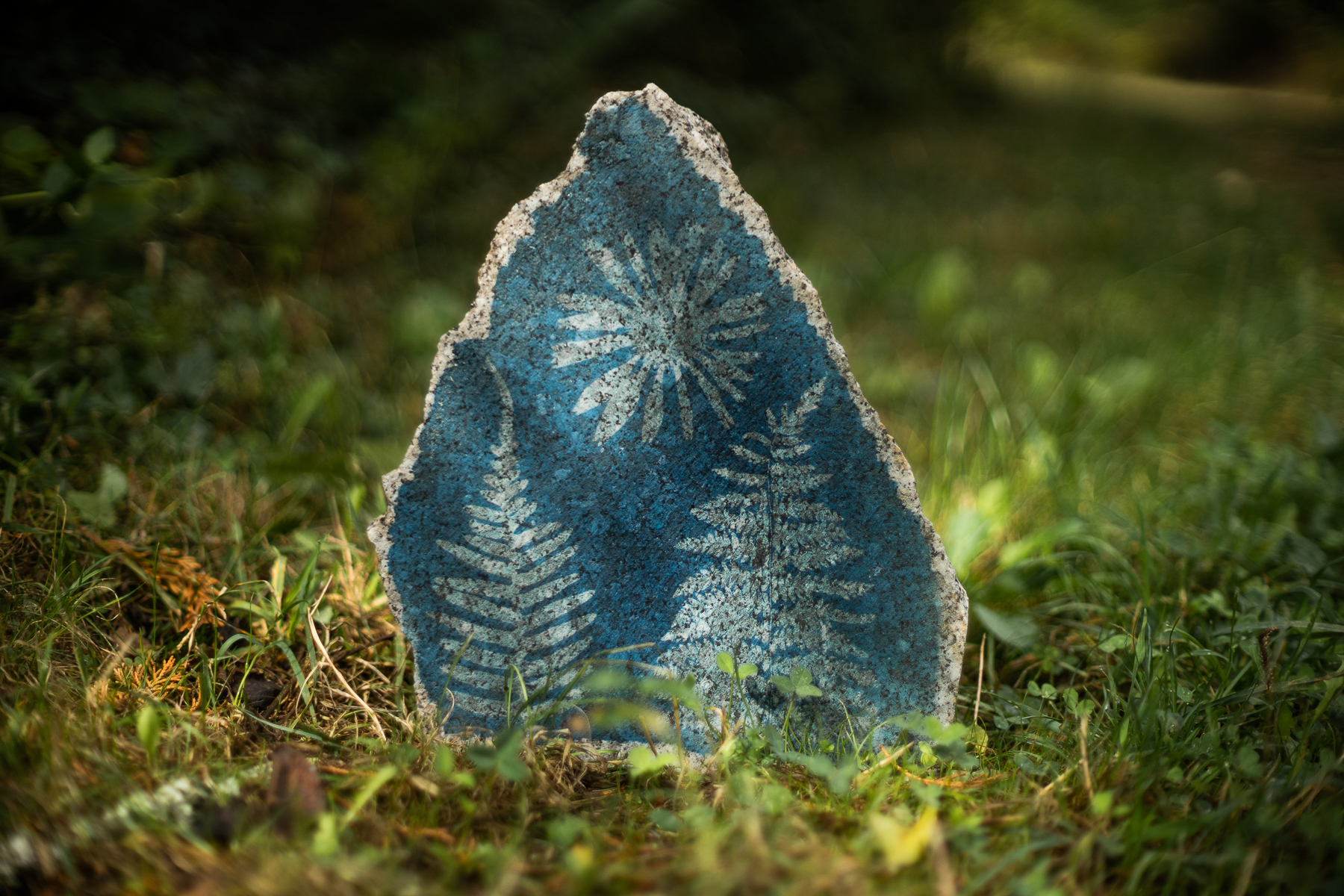 Atelier de création cyanotype 4h