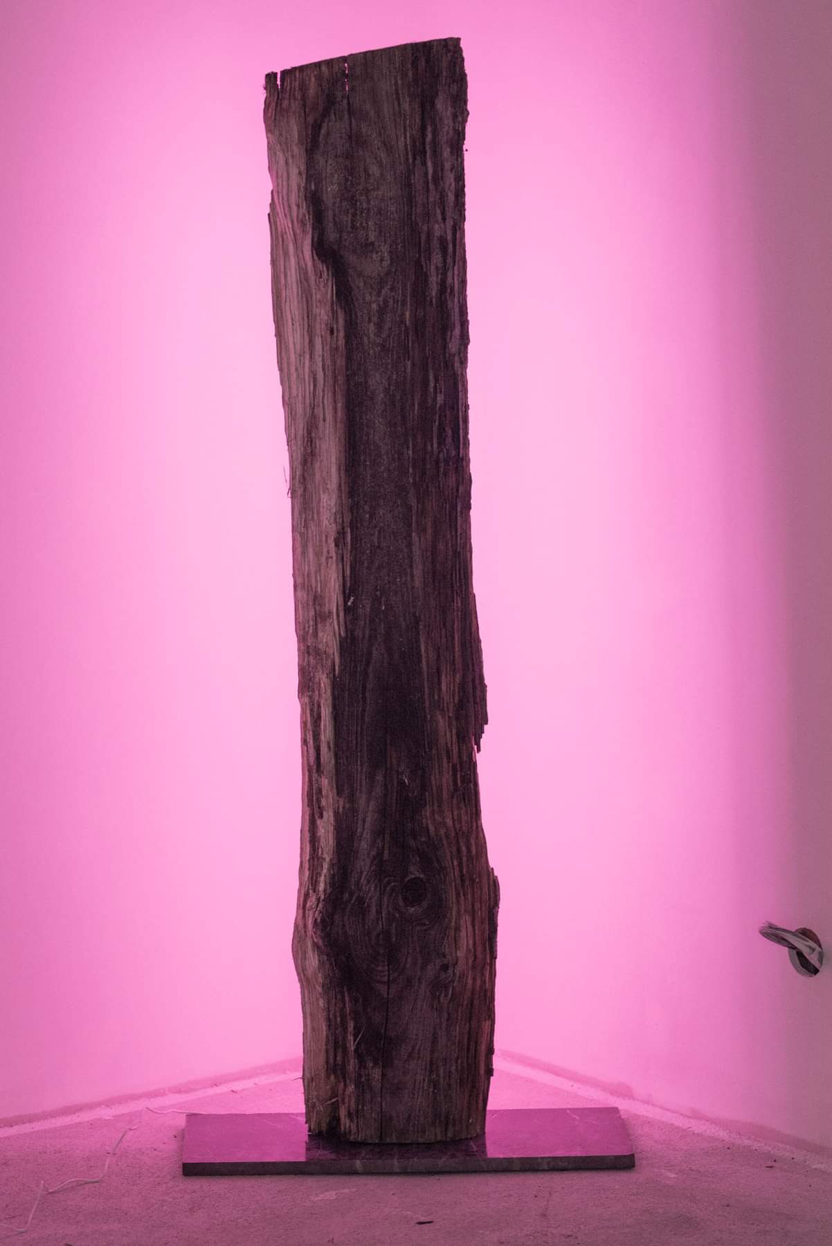 Atelier Création de luminaire 4h