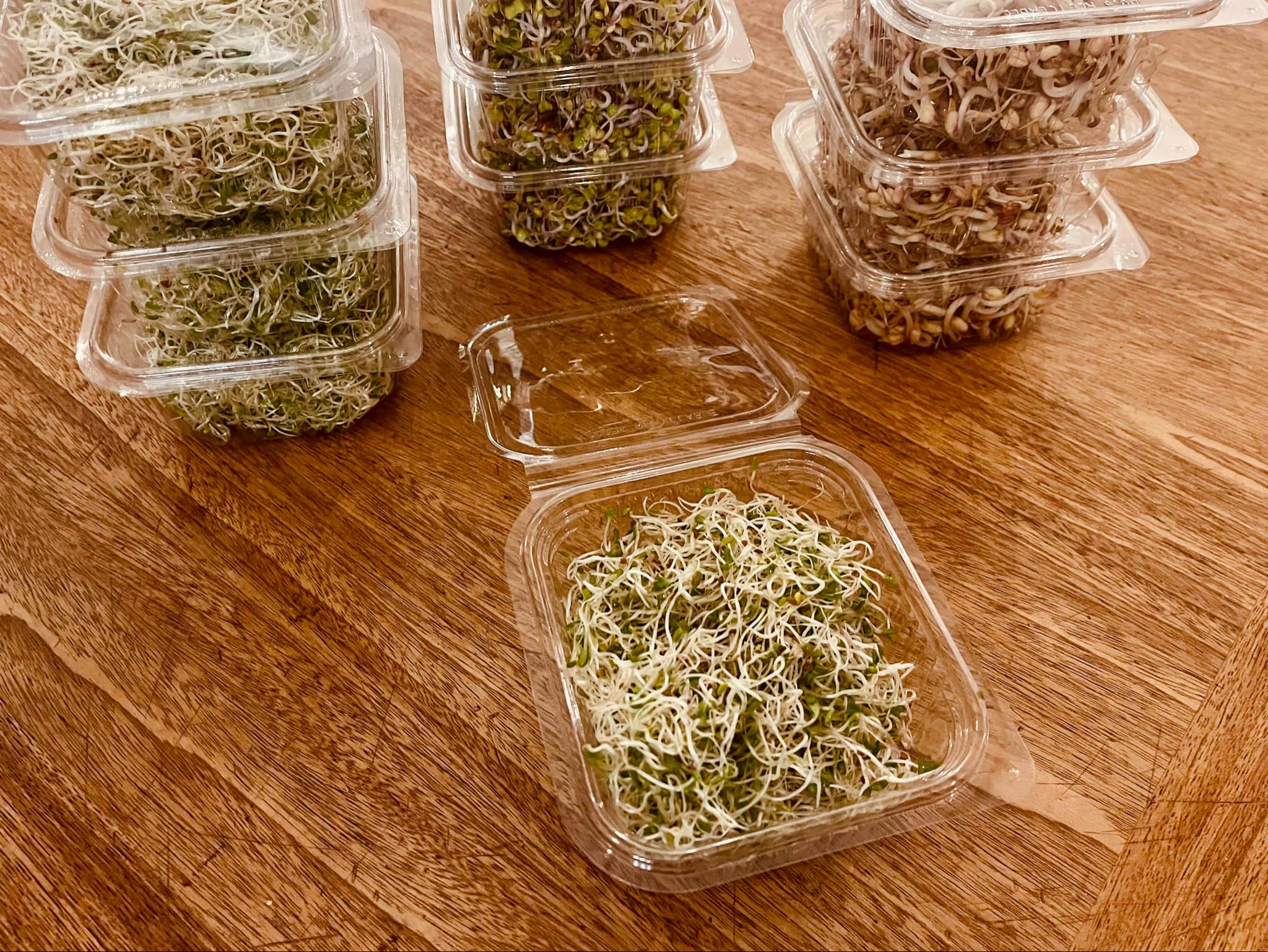 Atelier pousses et graines germées 2h