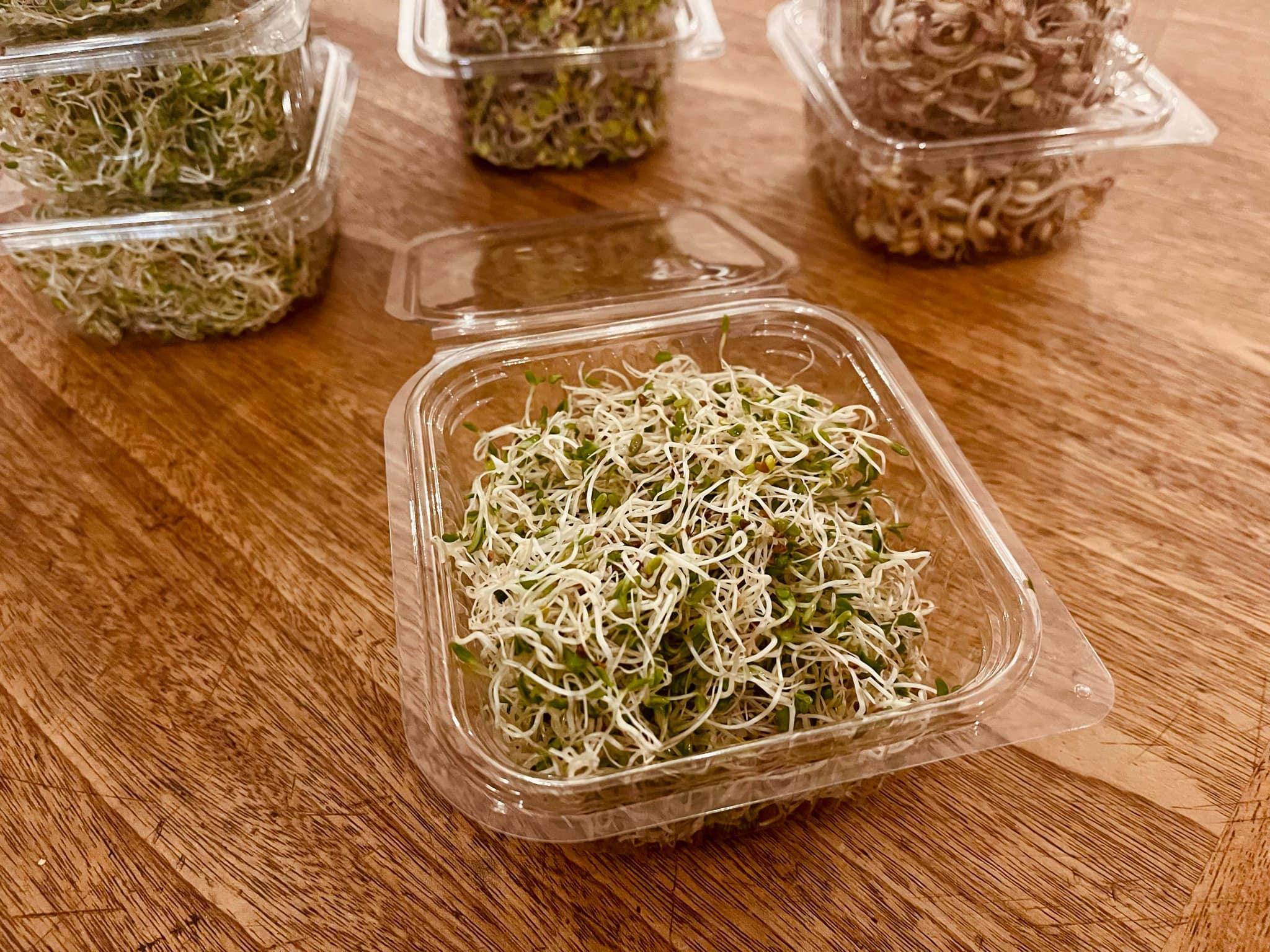 Atelier pousses et graines germées 2h