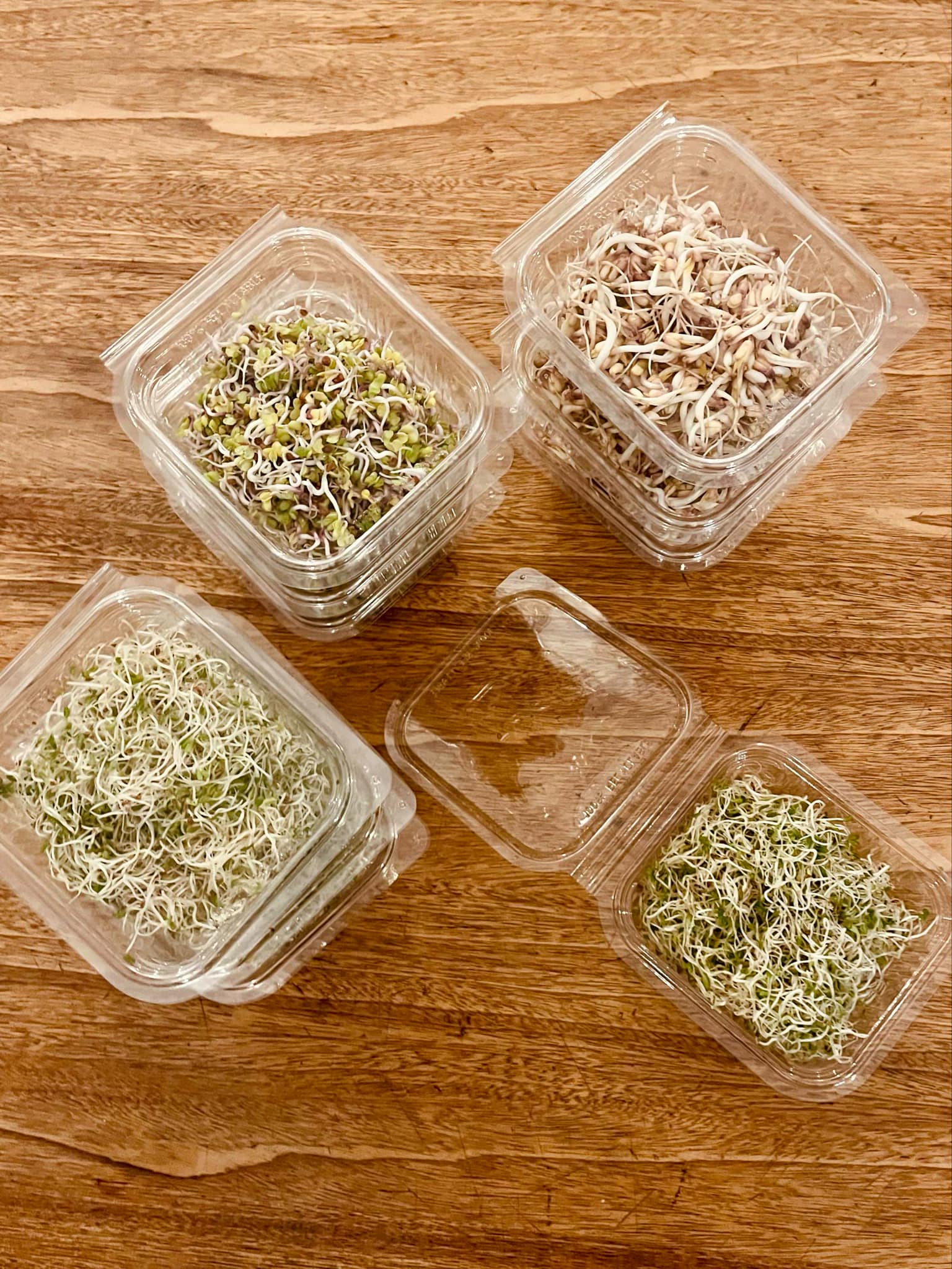 Atelier pousses et graines germées 2h