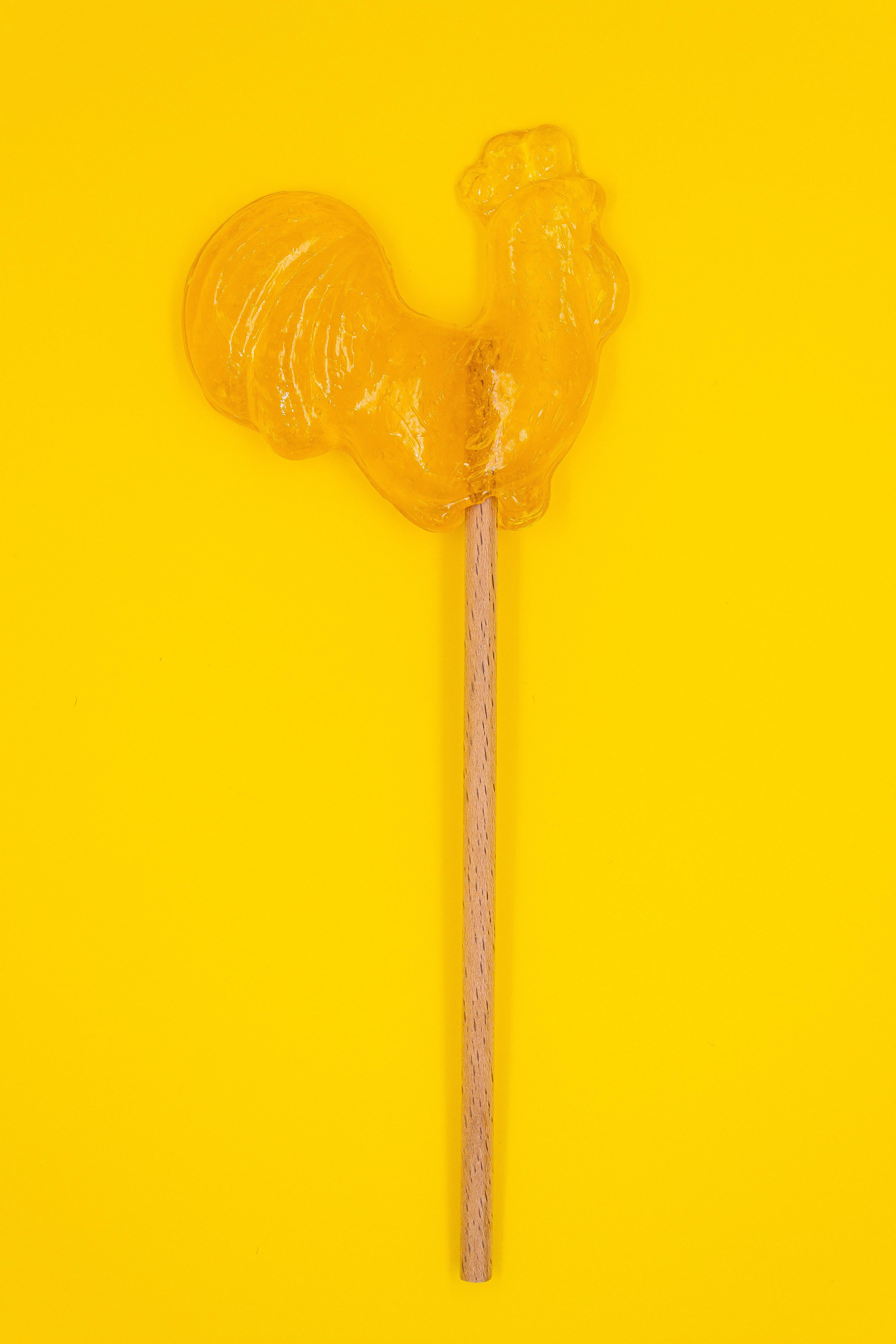 Citrinų sk. Gaidelis