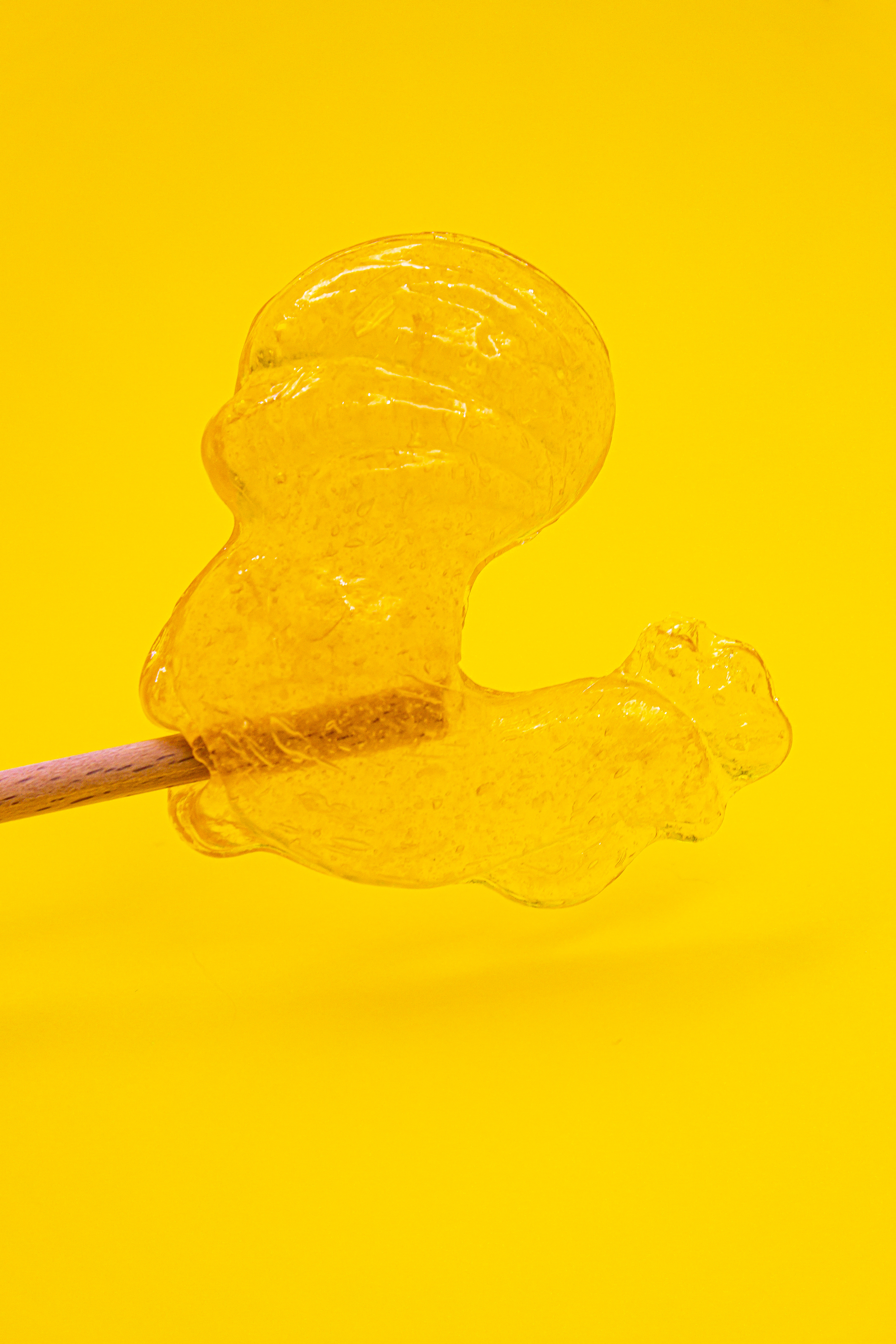 Citrinų sk. Gaidelis