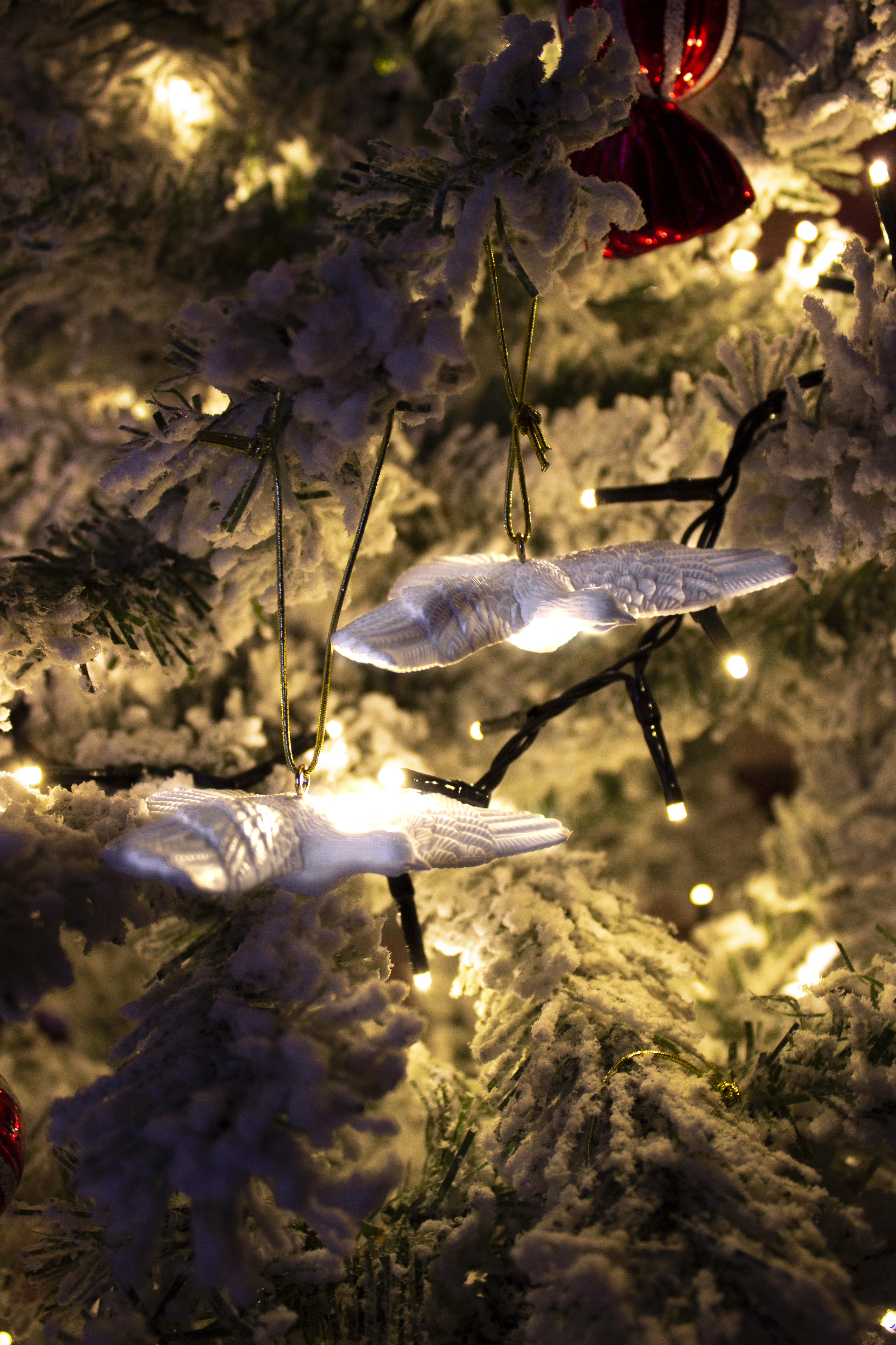 aksesuaras „Draugystės Balandžiai“