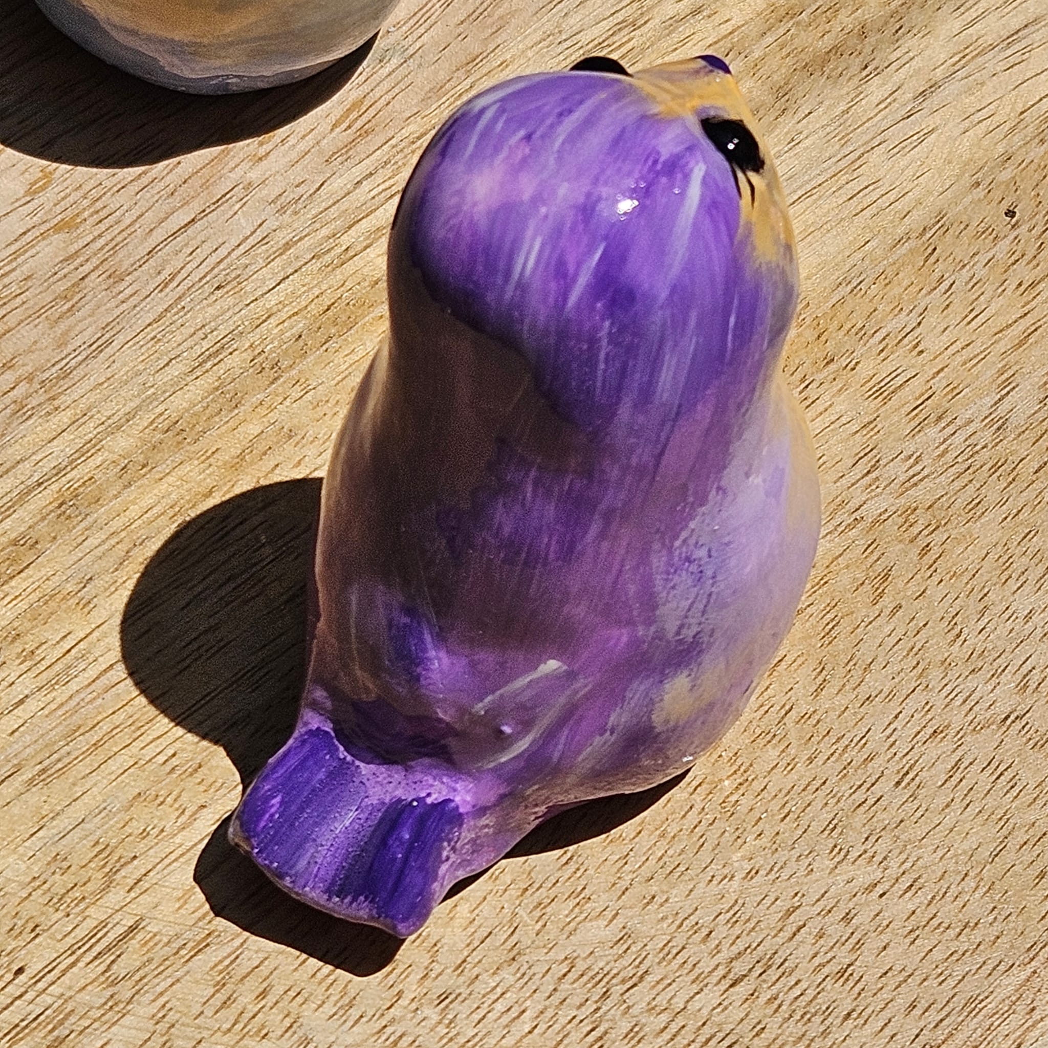 Moineau de tendresse violet