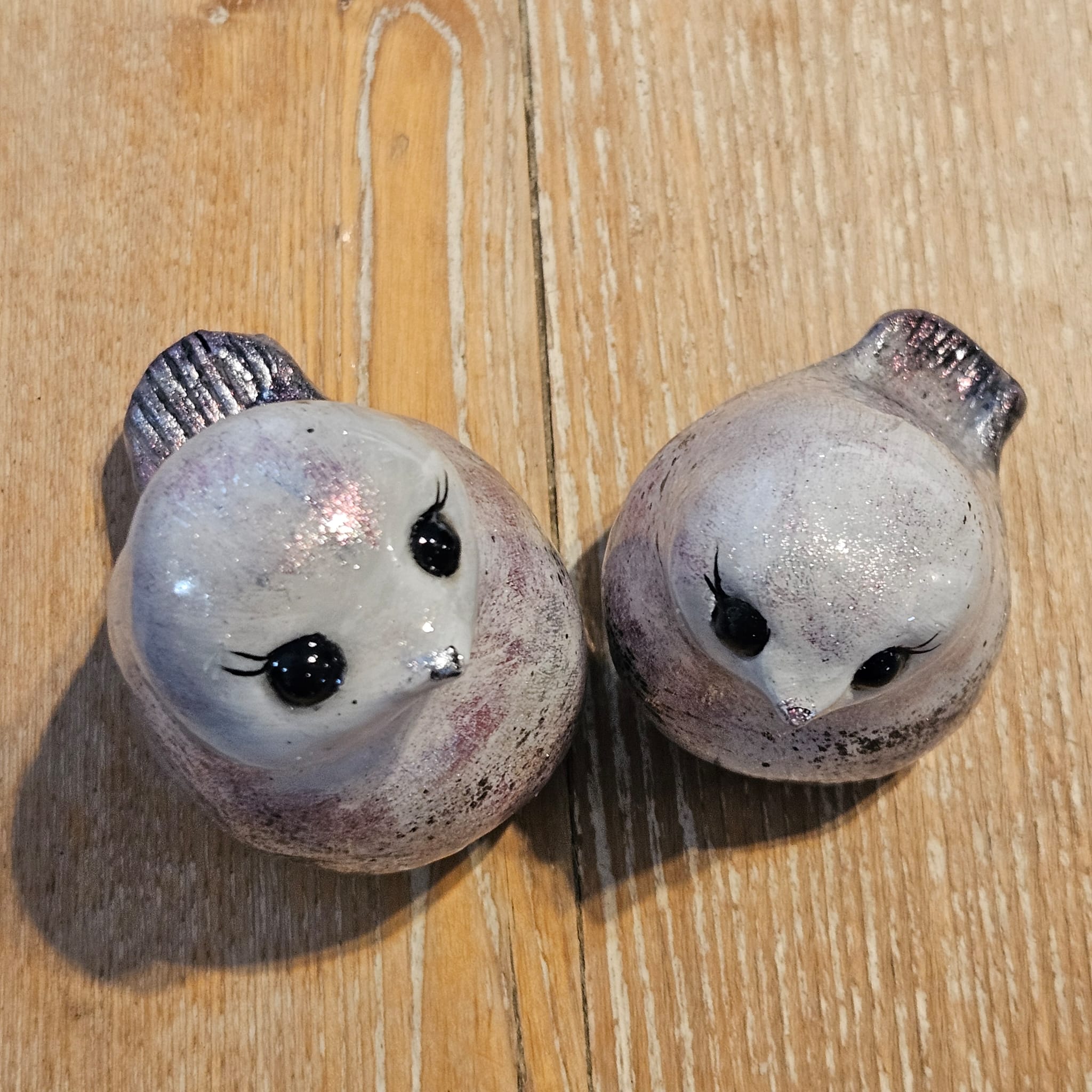 Duo de Pigeons aux mille reflets 