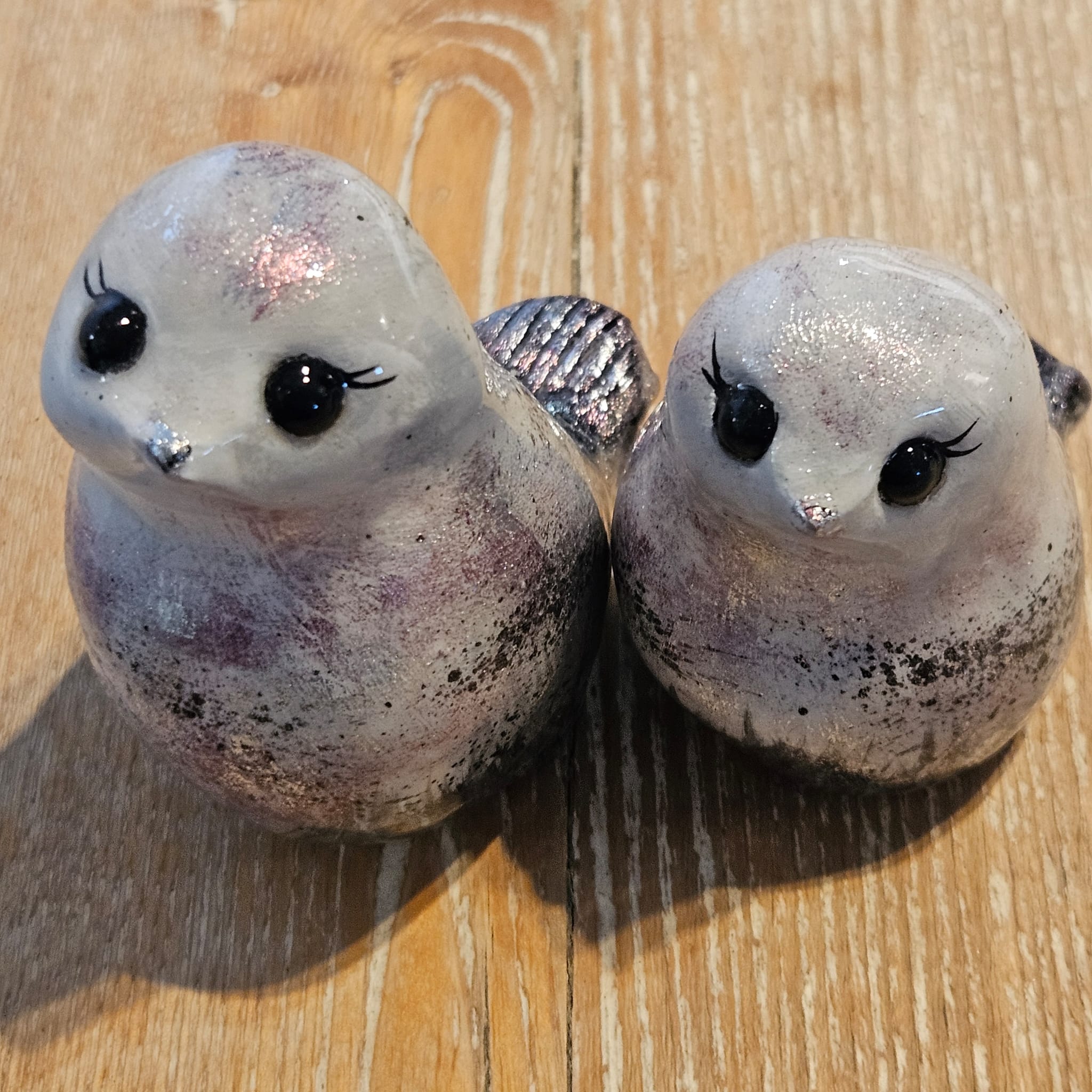 Duo de Pigeons aux mille reflets 