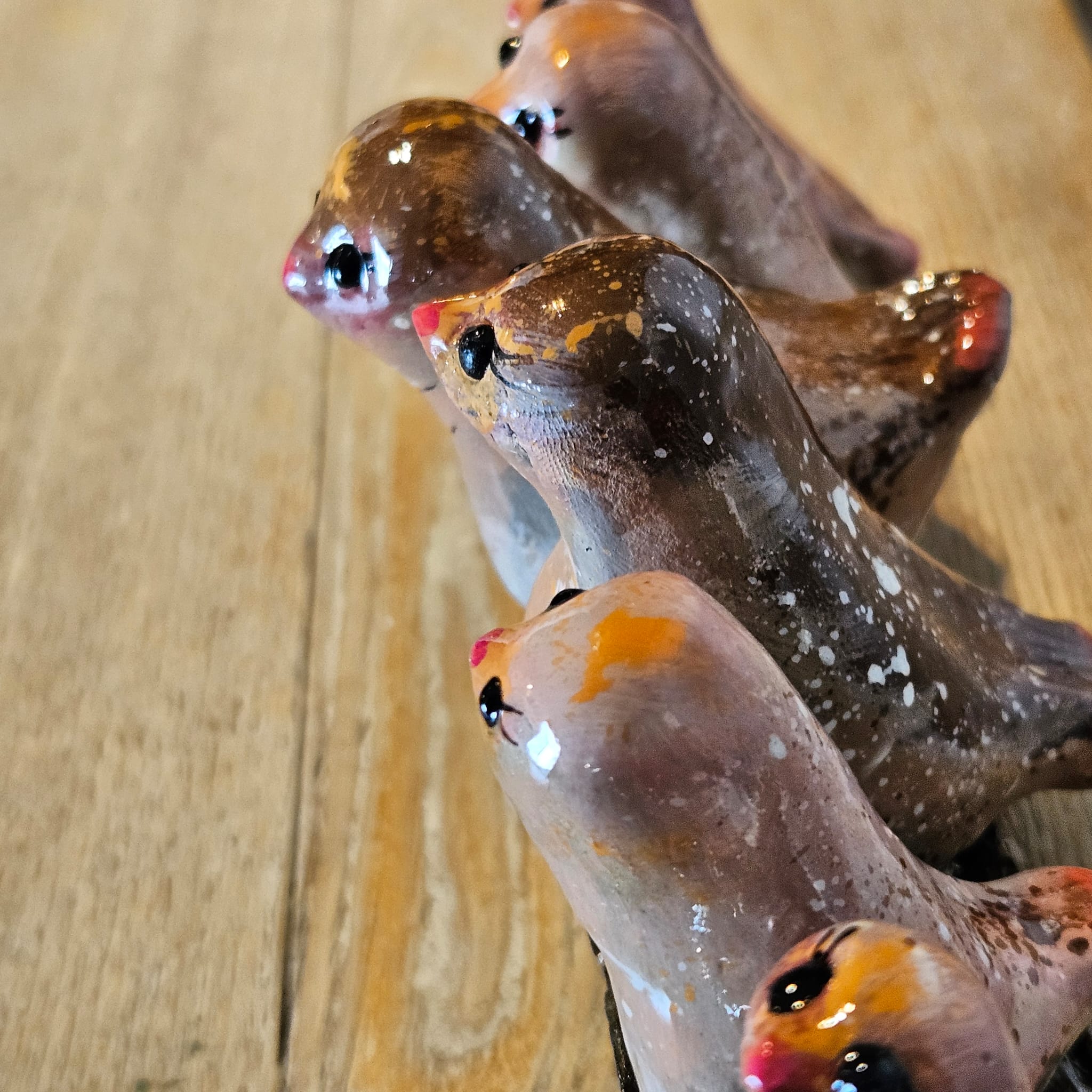 6 petits oiseaux sur un morceau de bois - Une Brochettes d'oiseaux bavards de tous âges,  sur un bois usé préalablement rendu durable...