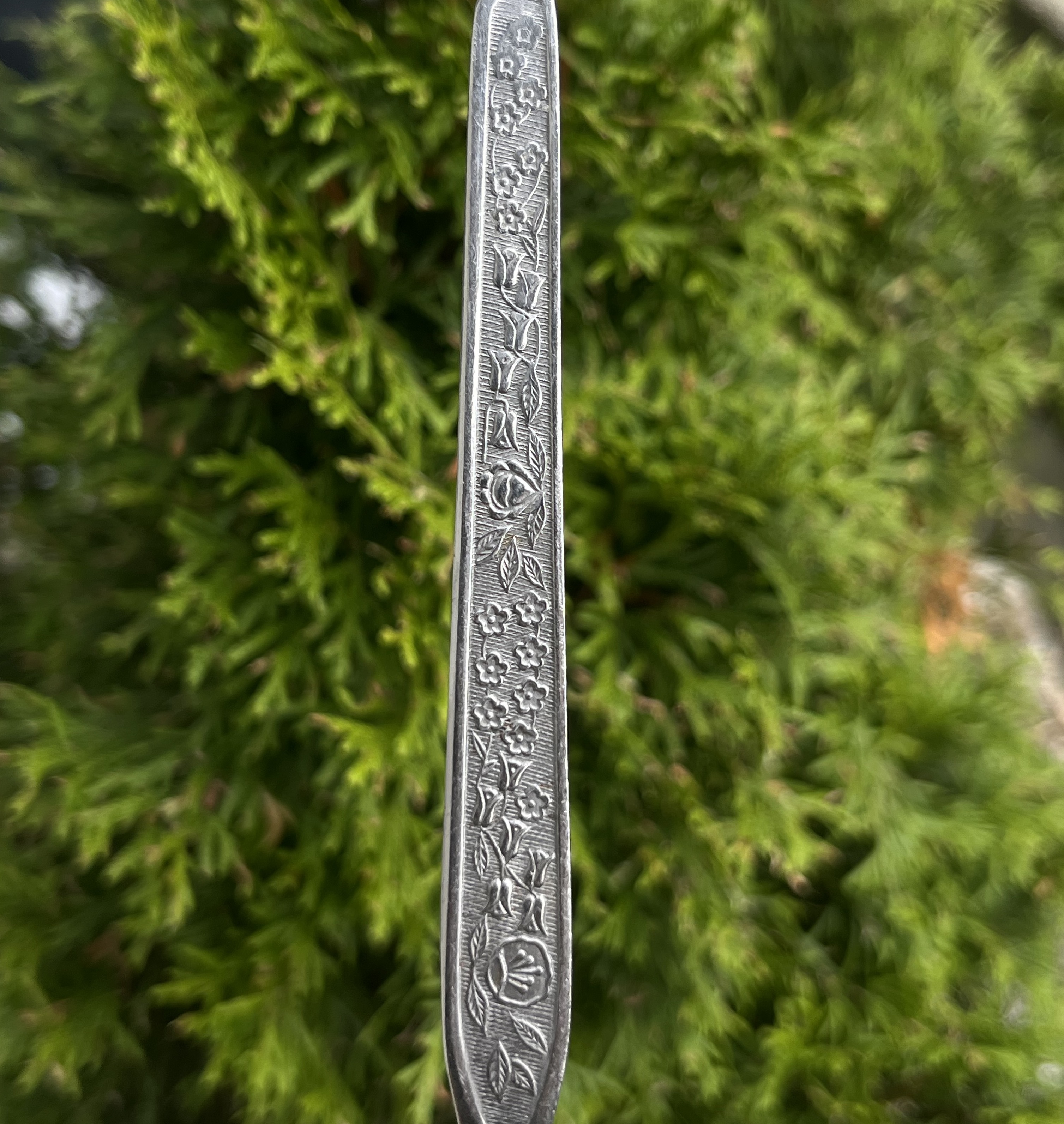 Rūtų darželis