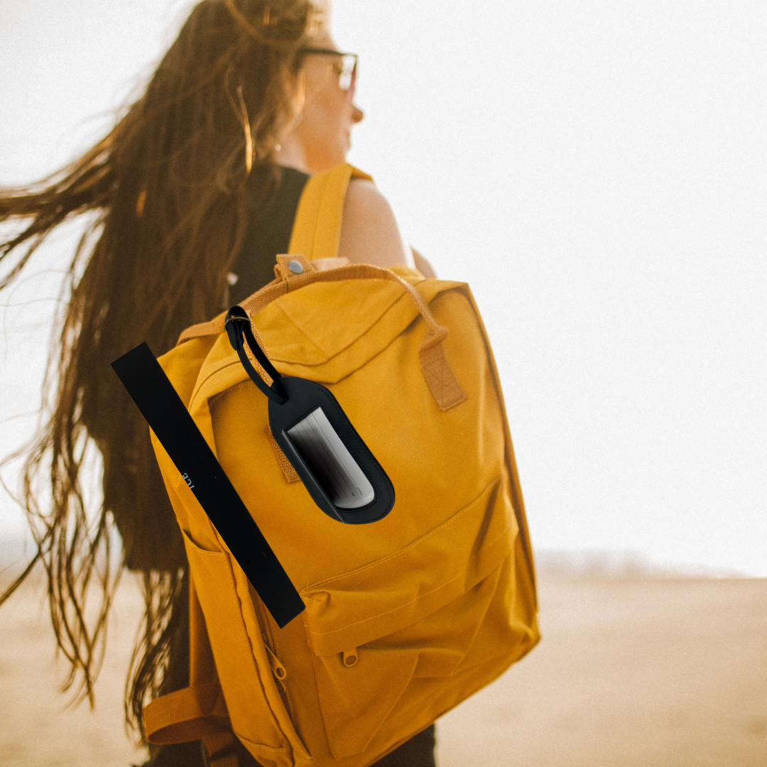 Take Me Away Pickleball Luggage Tag