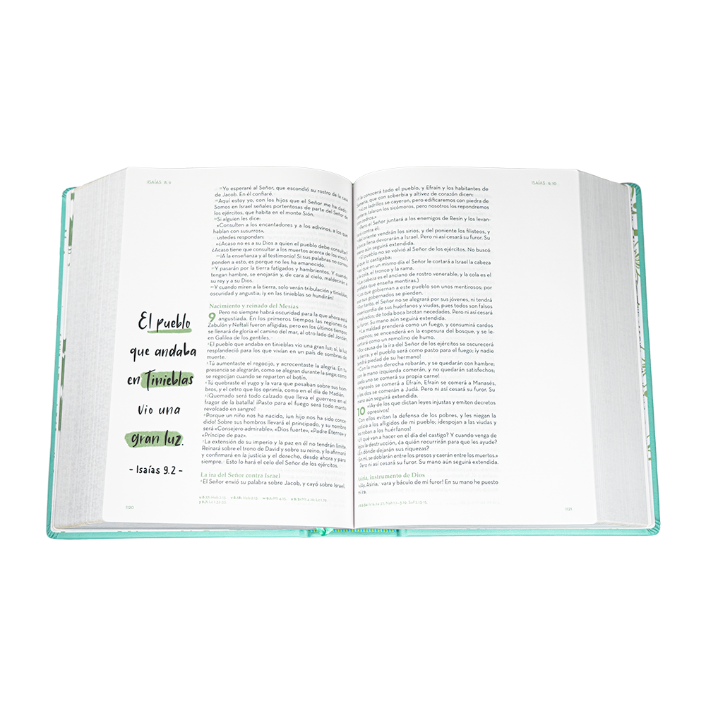 Biblia Arte Reina Valera Contemporánea | Verde