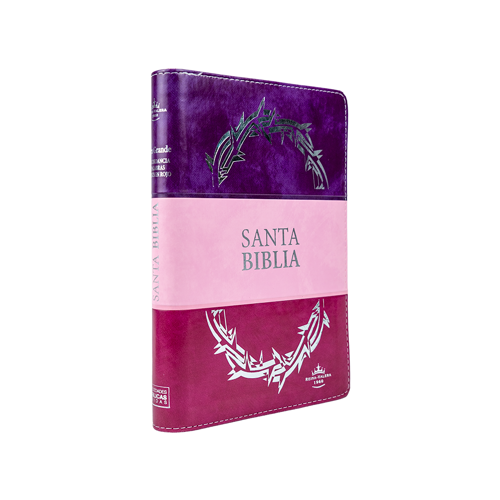 Santa Biblia Reina Valera 1960 Tricolor