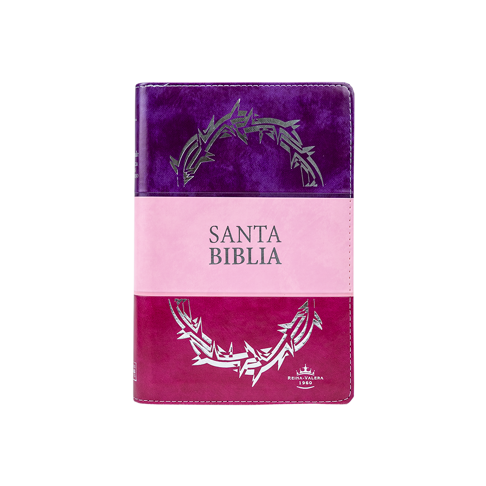 Santa Biblia Reina Valera 1960 Tricolor