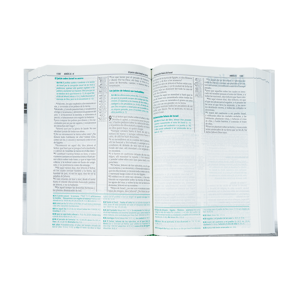 Biblia de Estudio Esquematizada
