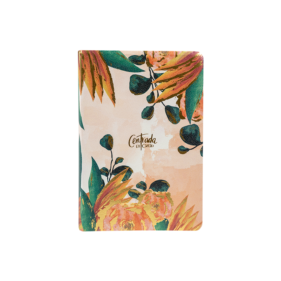 Biblia para Mujer Centrada en Cristo
