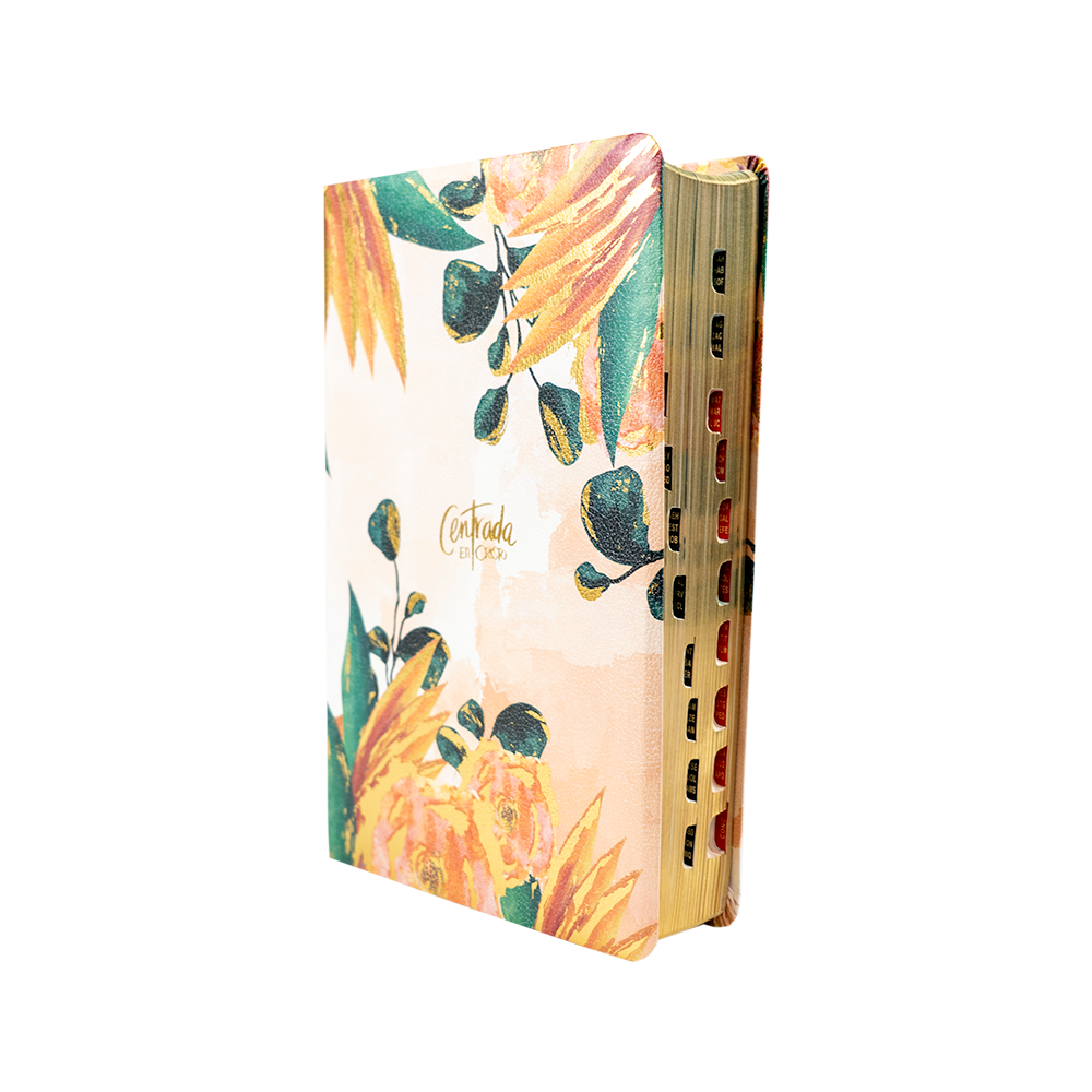 Biblia para Mujer Centrada en Cristo