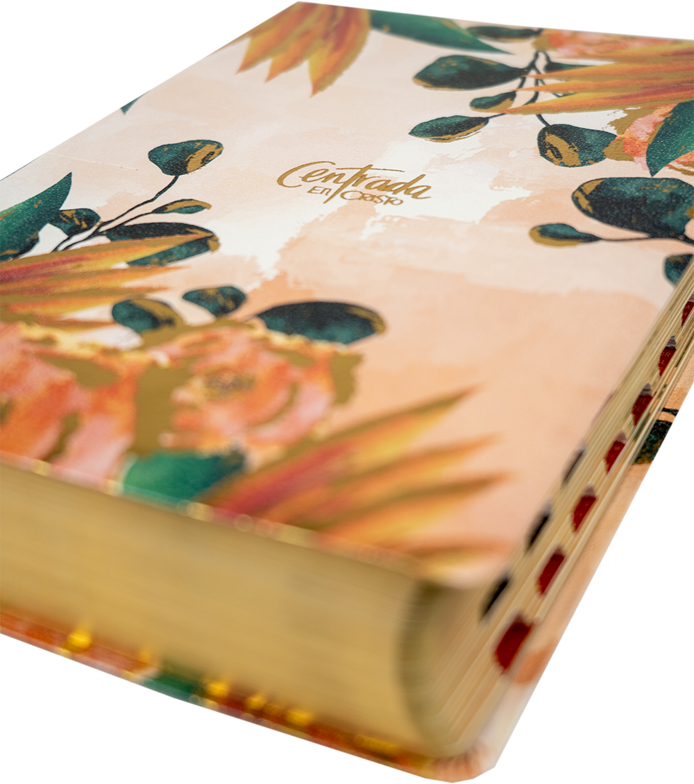 Biblia para Mujer Centrada en Cristo