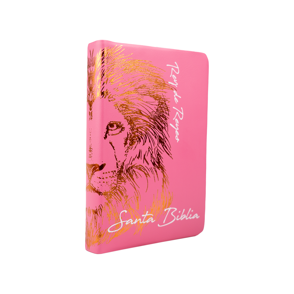 Biblia Diseño de León Rosa