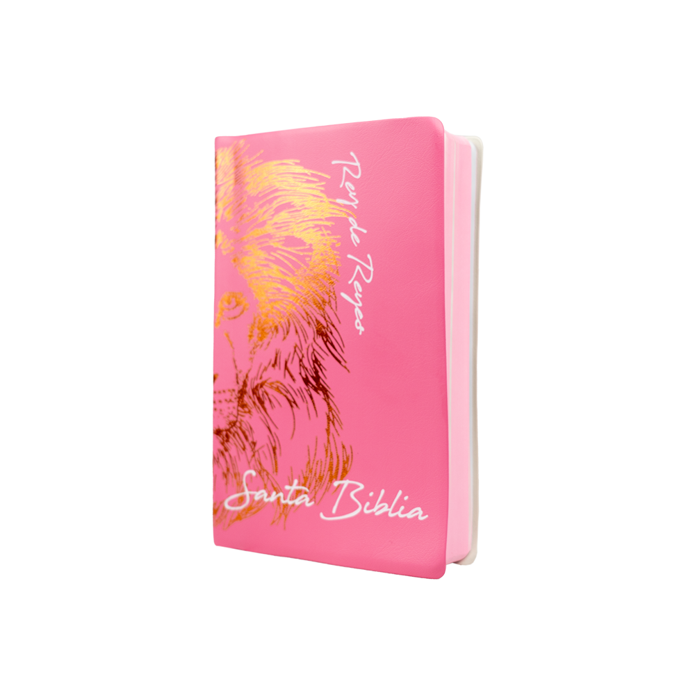 Biblia Diseño de León Rosa