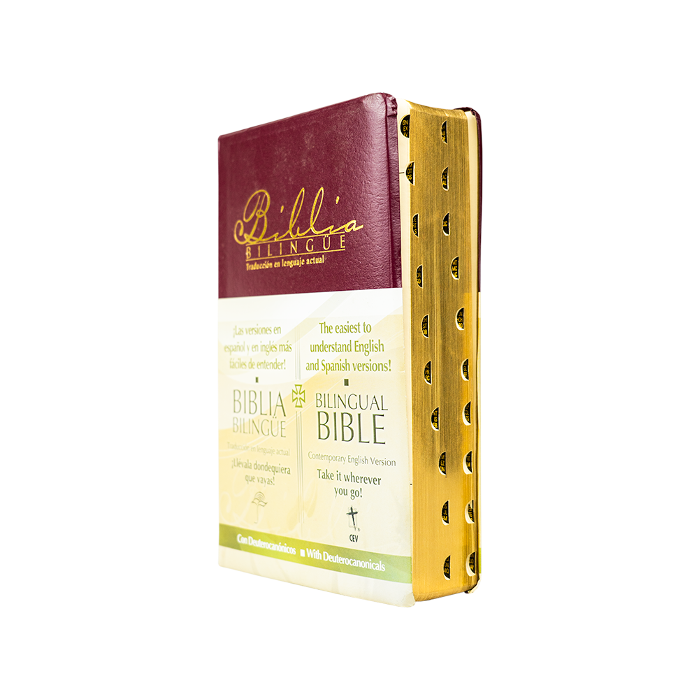 Biblia Bilingüe