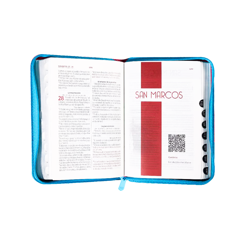 Biblia Bicolor RV1960