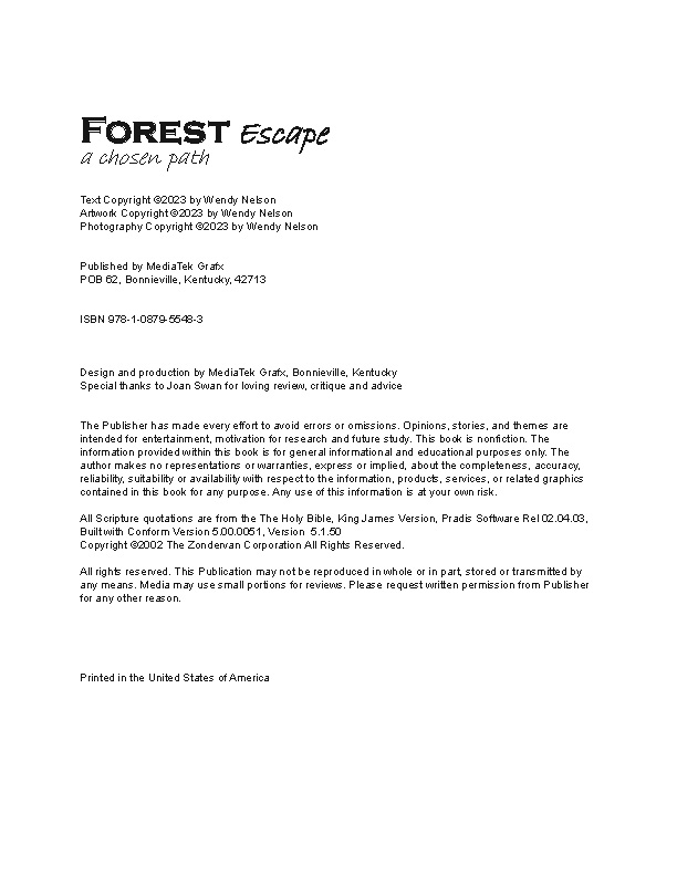 Forest Escape a chosen Path, learn how to simplify life, follow our journey, leave stress behind, follow God's Path, live off the land,  Christian Gift