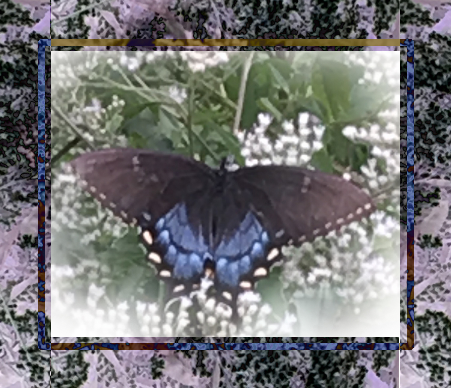 Custom fabric for you! Describe it and I will design it! artist original design fabric, Christian sentiment, to make a pillow, quilt, tote