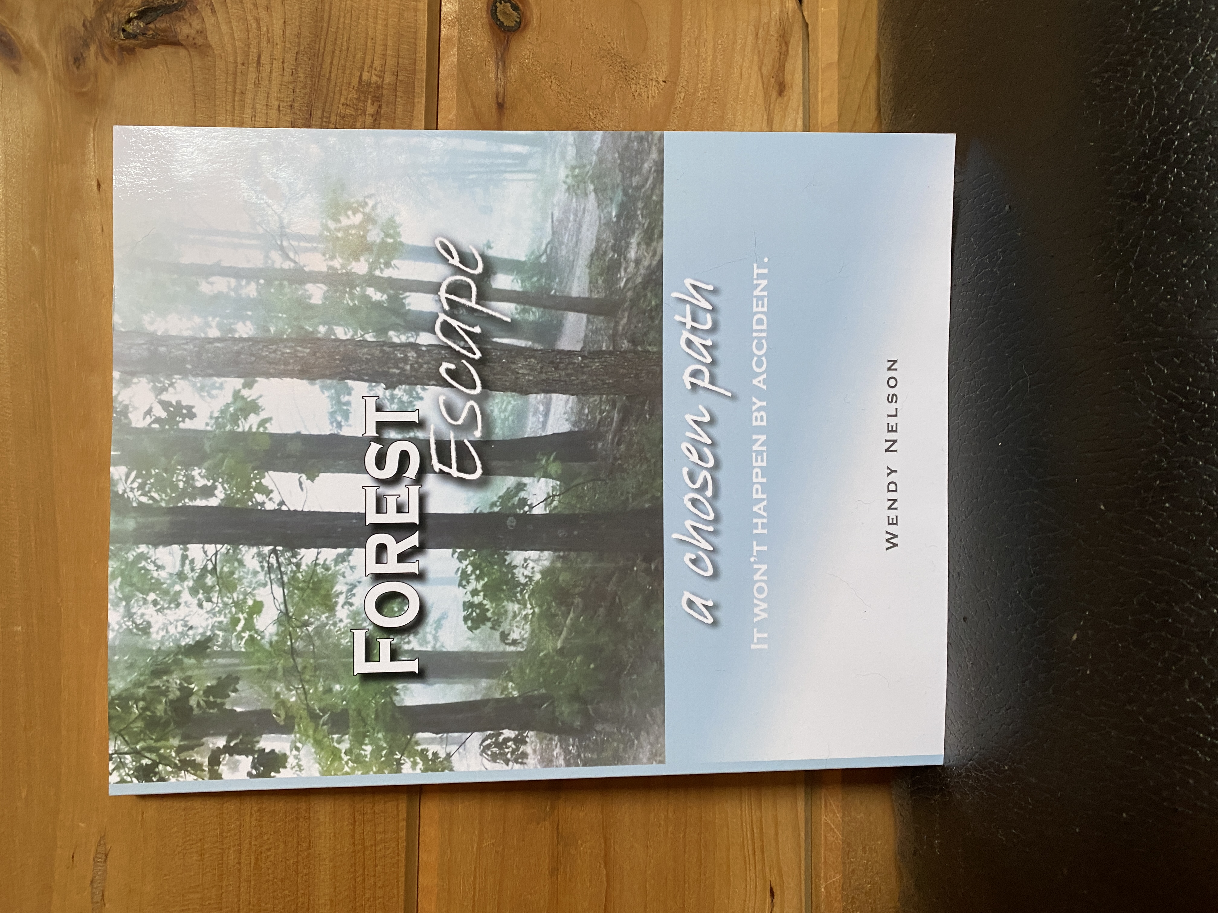 Illustrations, Book Cover Designs, Logo Designs, Web Components, Ads, Greeting Cards