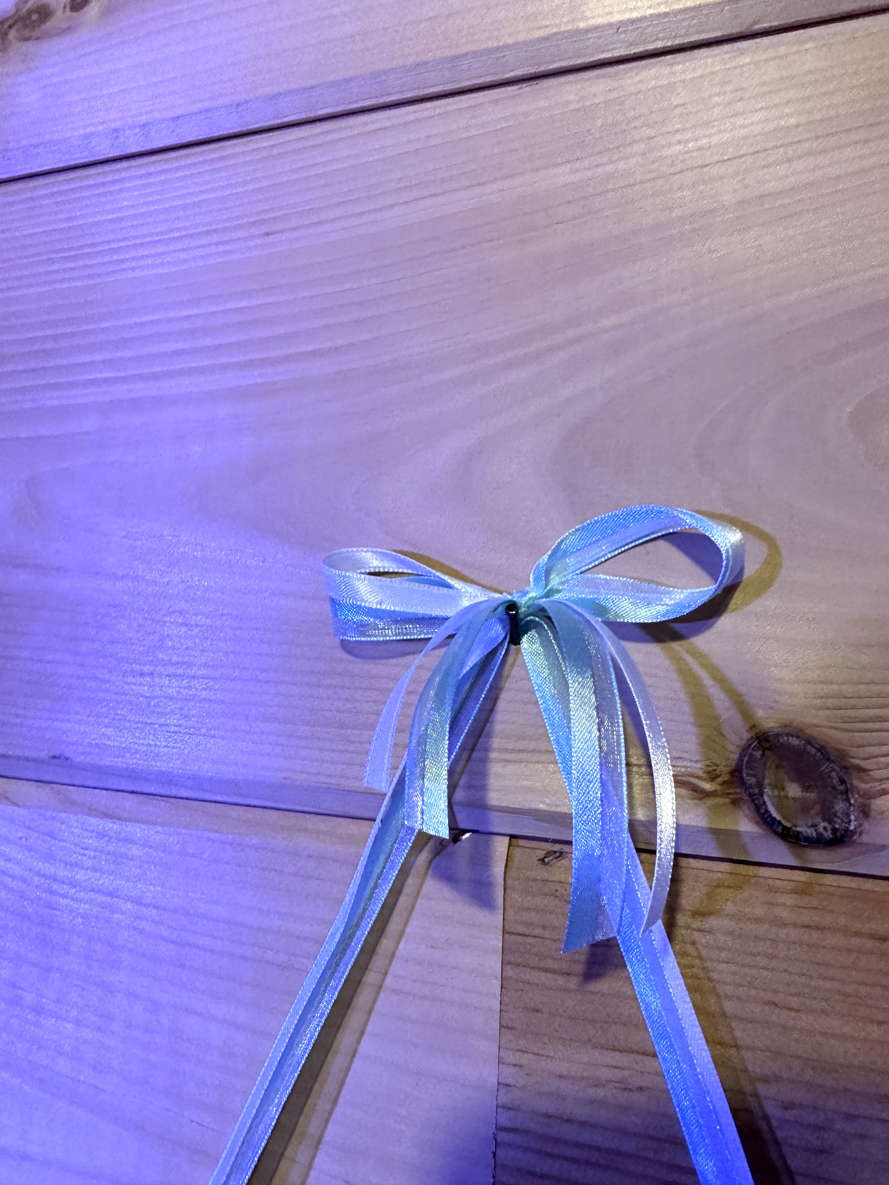 God's Country, Christian FOREST ESCAPE nature, with Apple Cinnamon fragrance, Sachet Wall Hanging, hanging sachet, wall decor