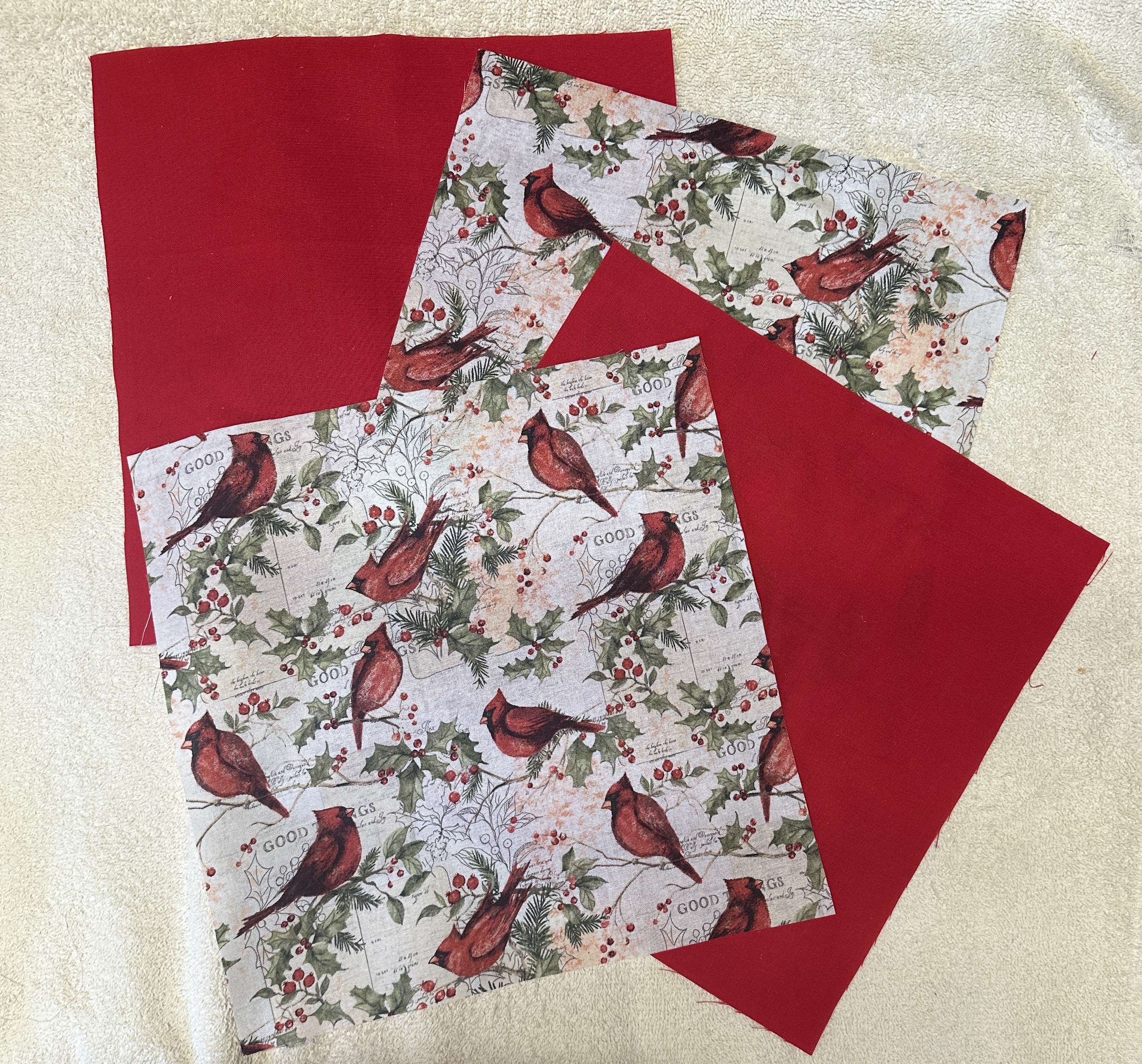 Learn to Sew! 2 kitchen potholders, Insul Bright, large sewing kit, illustrated instructions, learn sewing, Cardinals and Red