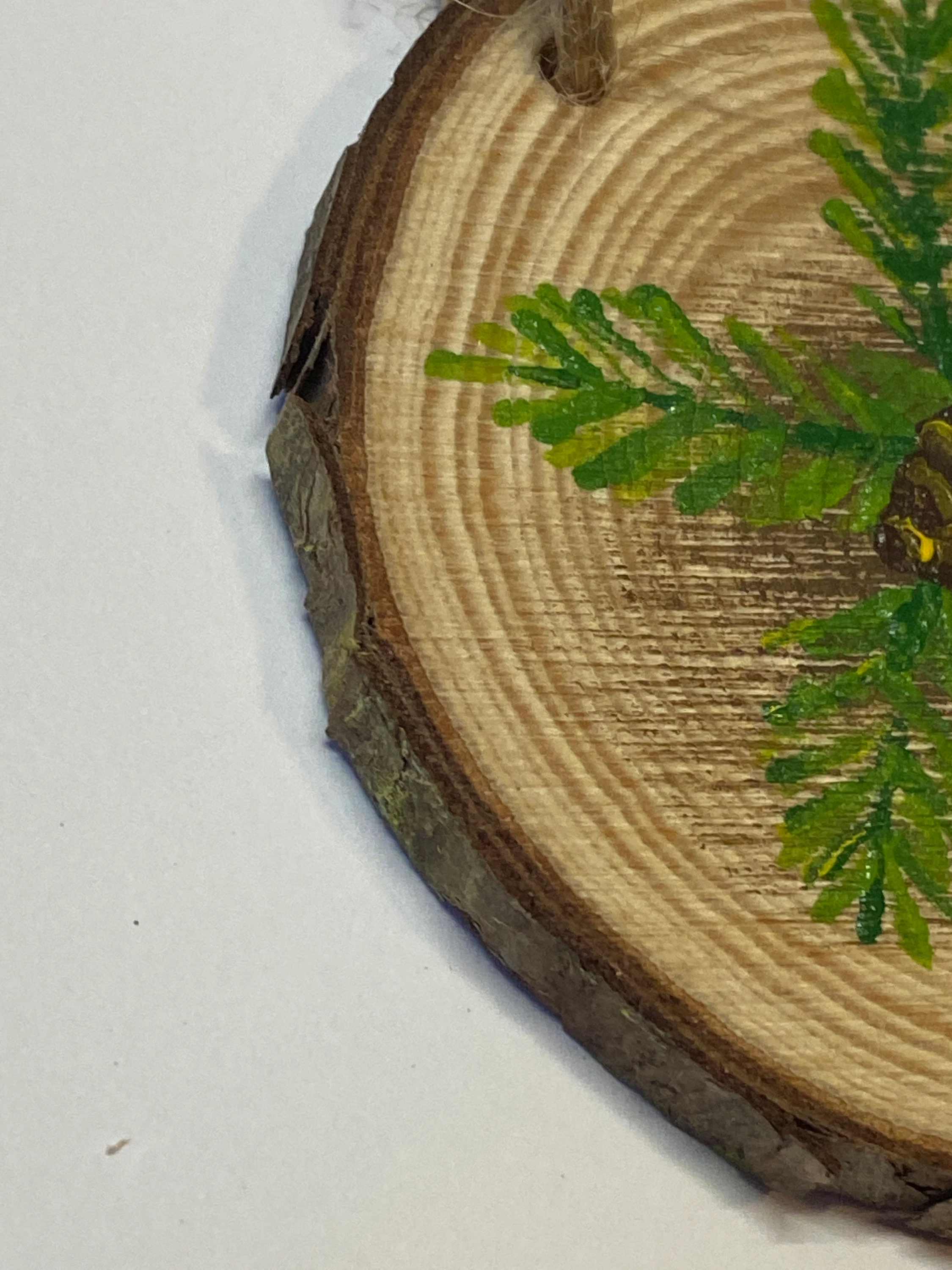 Hand Painted Set of 3 Christmas Tree Ornaments with Pines and Holly and Hearts!