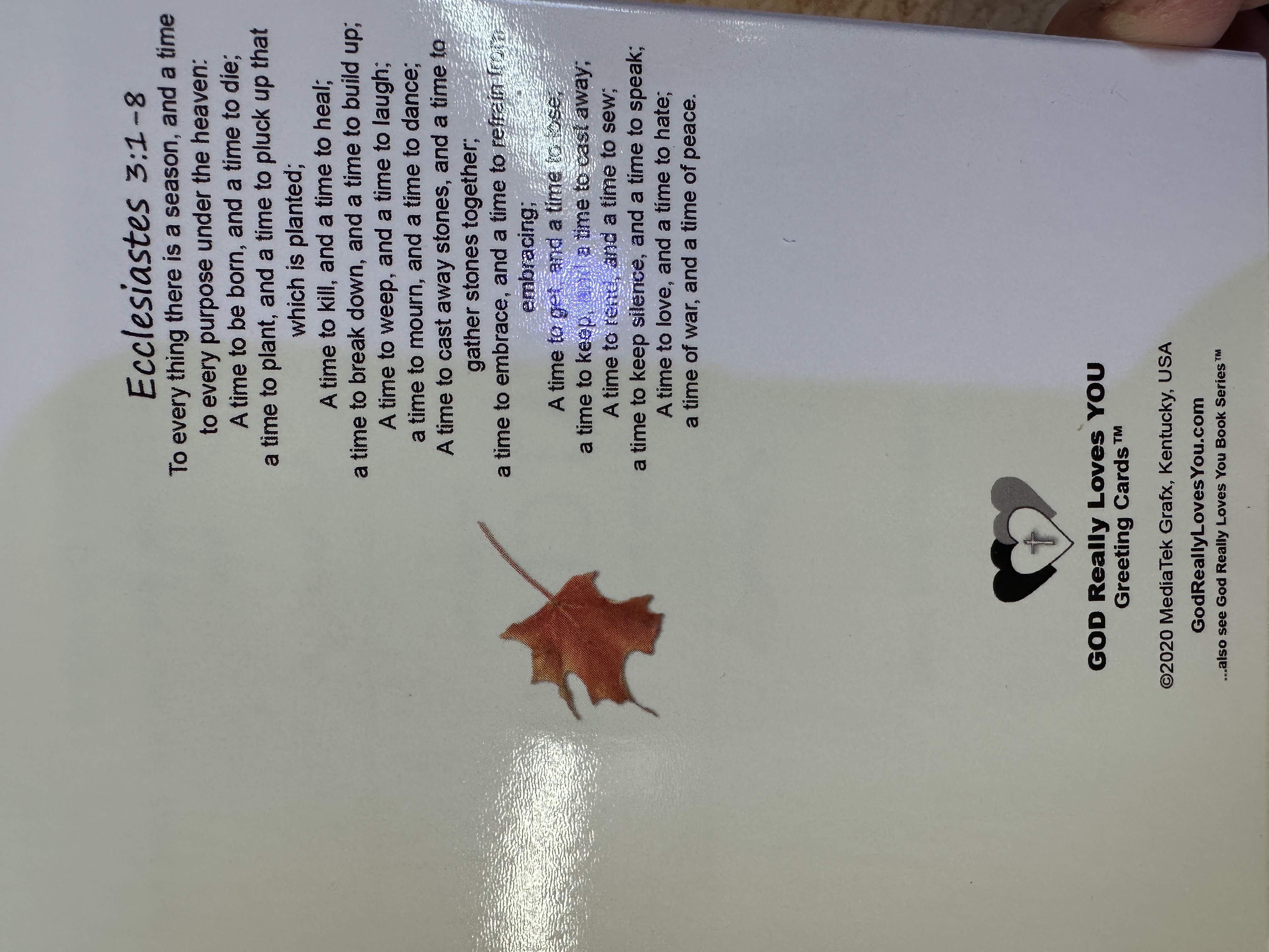 Christian Greeting Cards - set of six with envelopes, heavy glossy stock