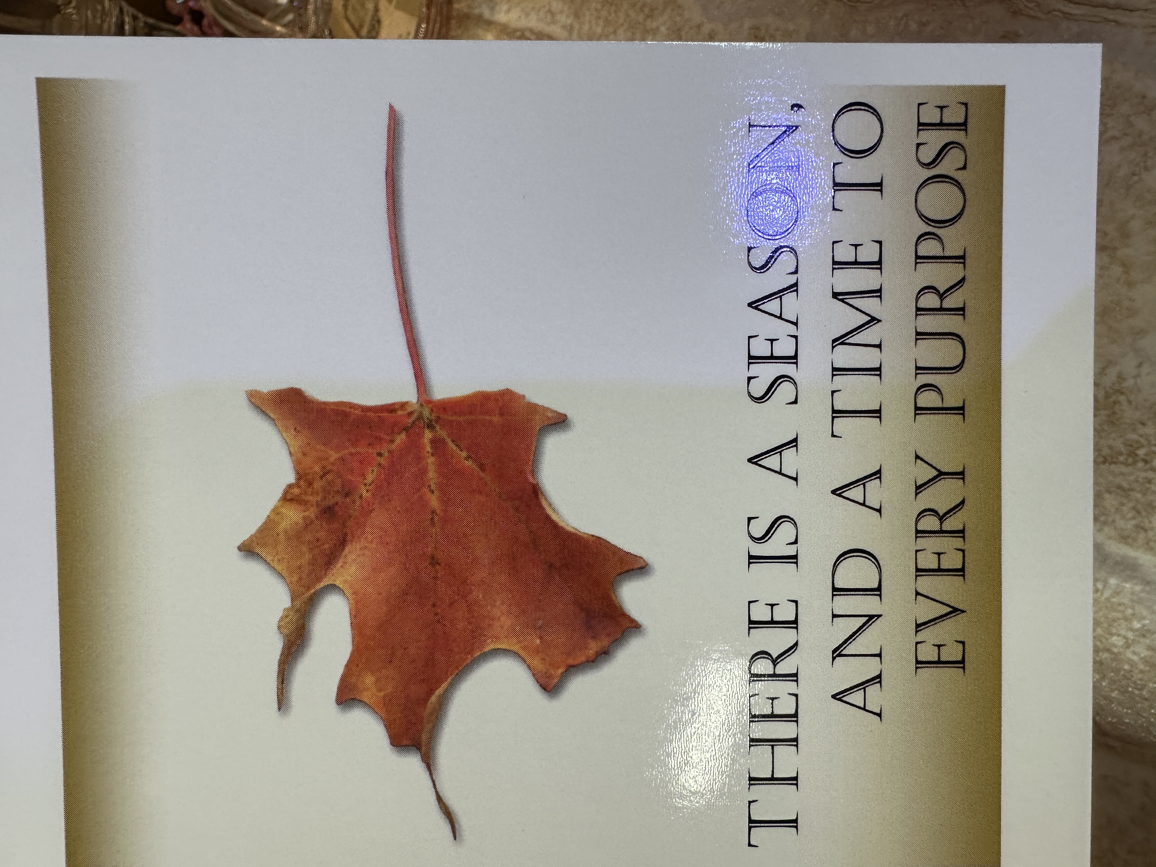 Christian Greeting Cards - set of six with envelopes, heavy glossy stock